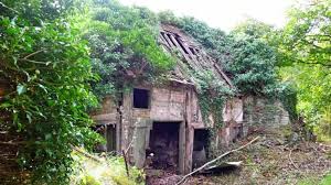 Fincabien Home 55 Renovierungsobjekt