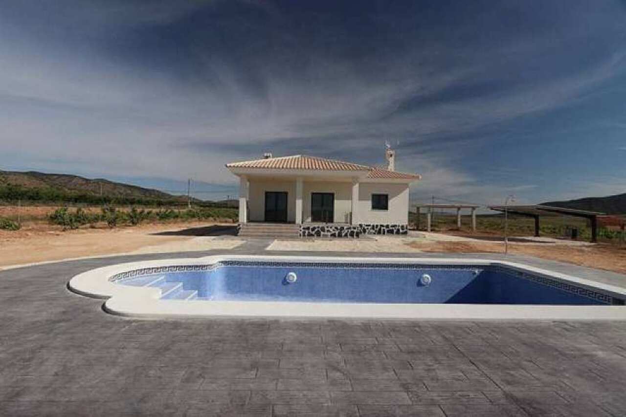 10270-villa-for-sale-in-pinoso-482694-large