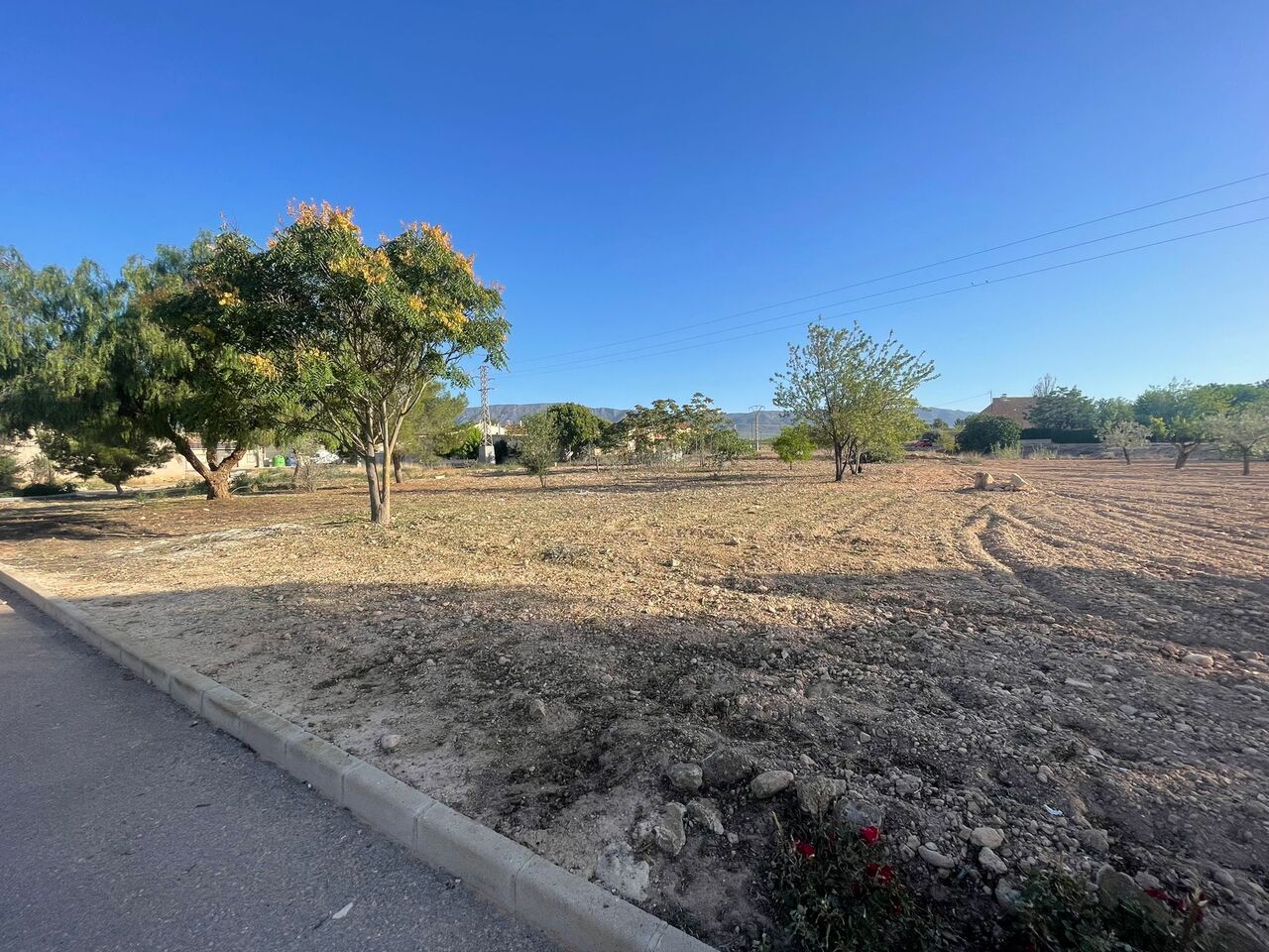 22183-land-for-sale-in-ubeda-1240366-large