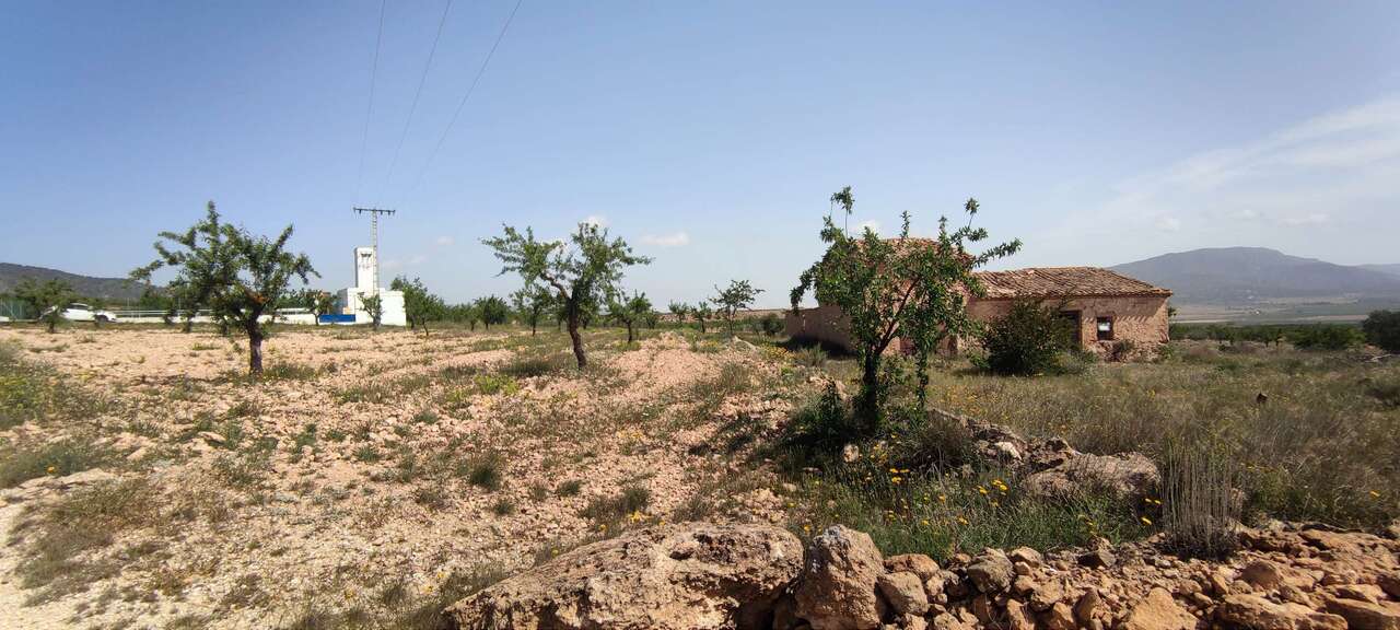 29689-country-house-for-sale-in-pinoso-1821695-large