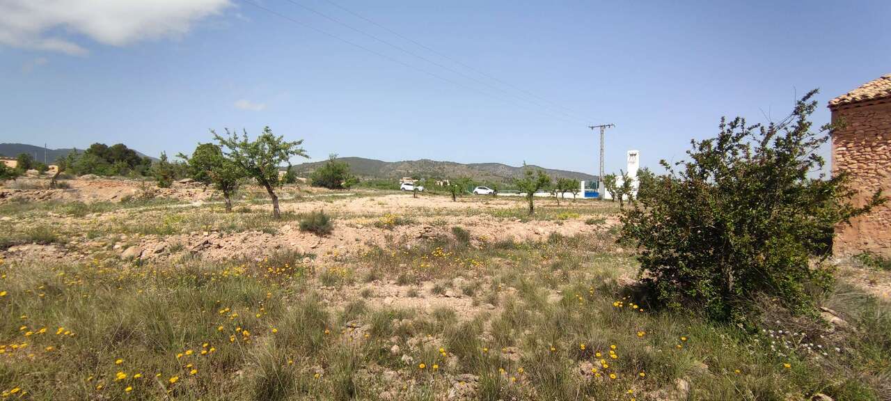 29689-country-house-for-sale-in-pinoso-1821698-large