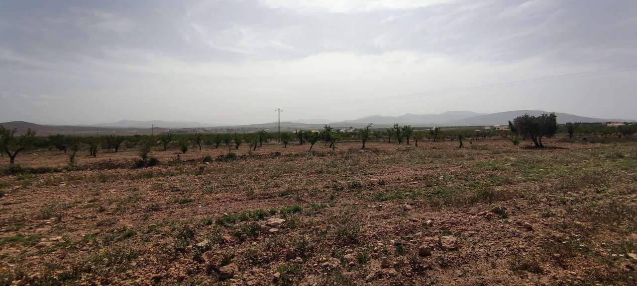 29689-country-house-for-sale-in-pinoso-1821707-large