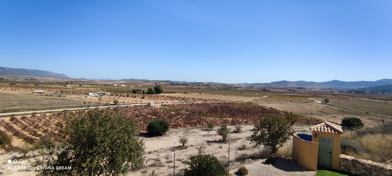 8518-villa-for-sale-in-pinoso-418096-large