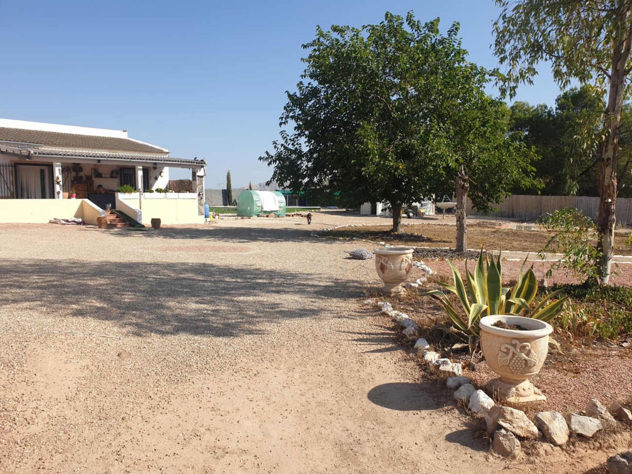 country-house-sax-nwd6026-20