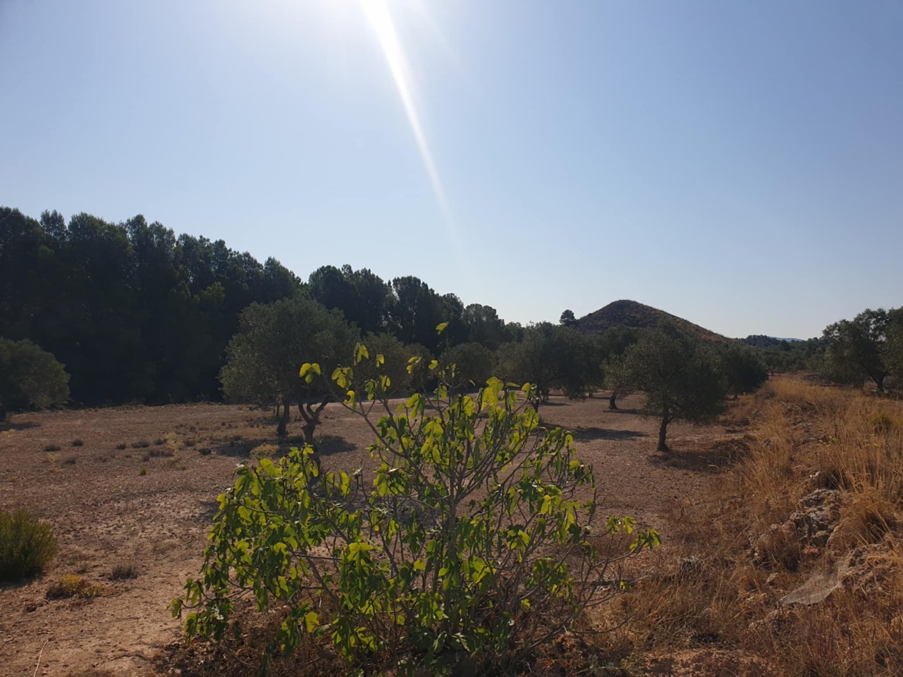 country-house-sax-nwd6026-36