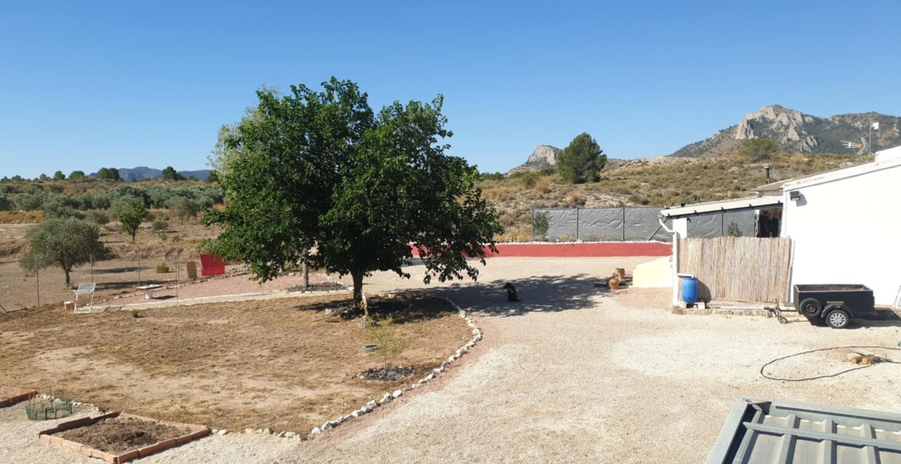 country-house-sax-nwd6026-6