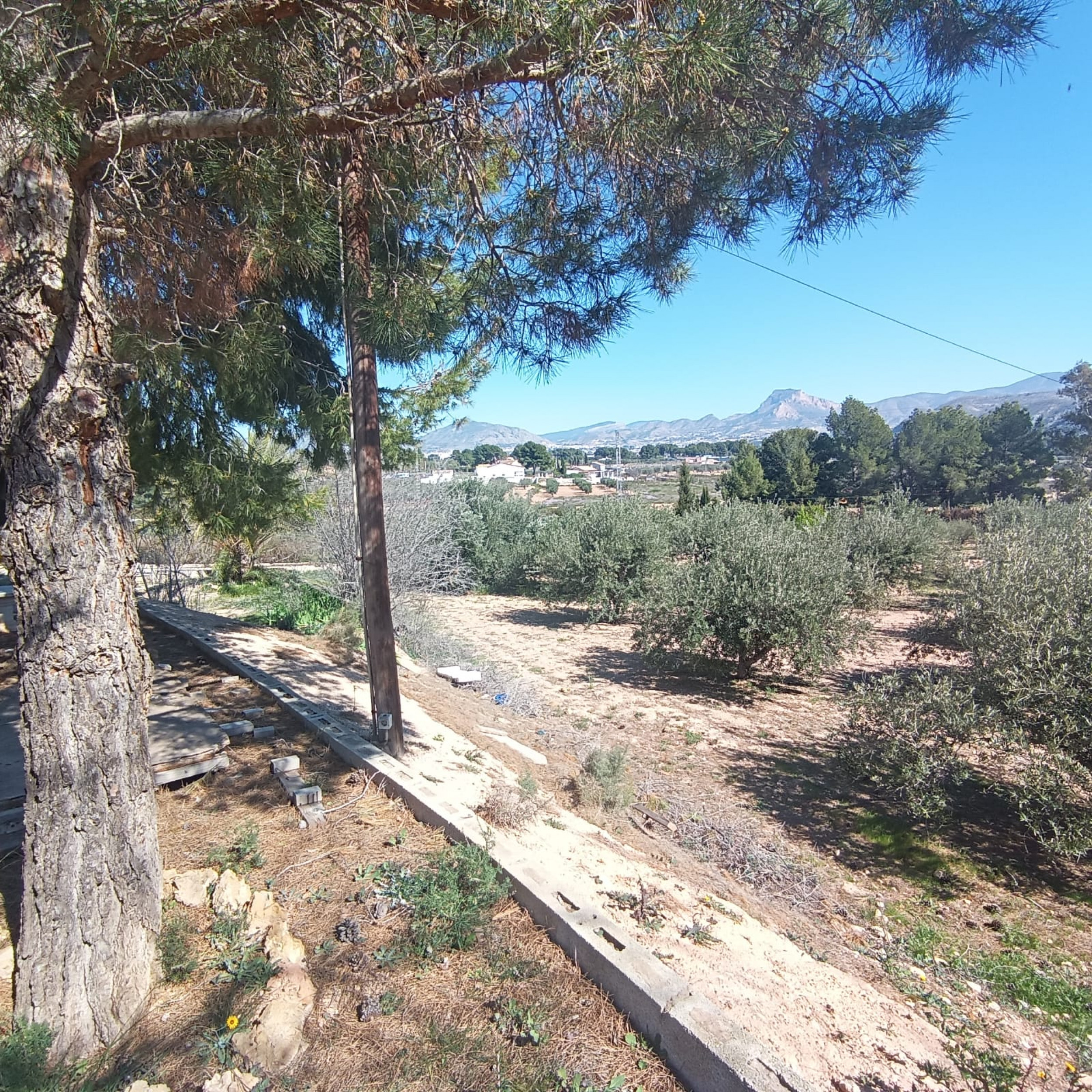 property_attachment_11rljlrg01_20260228120203