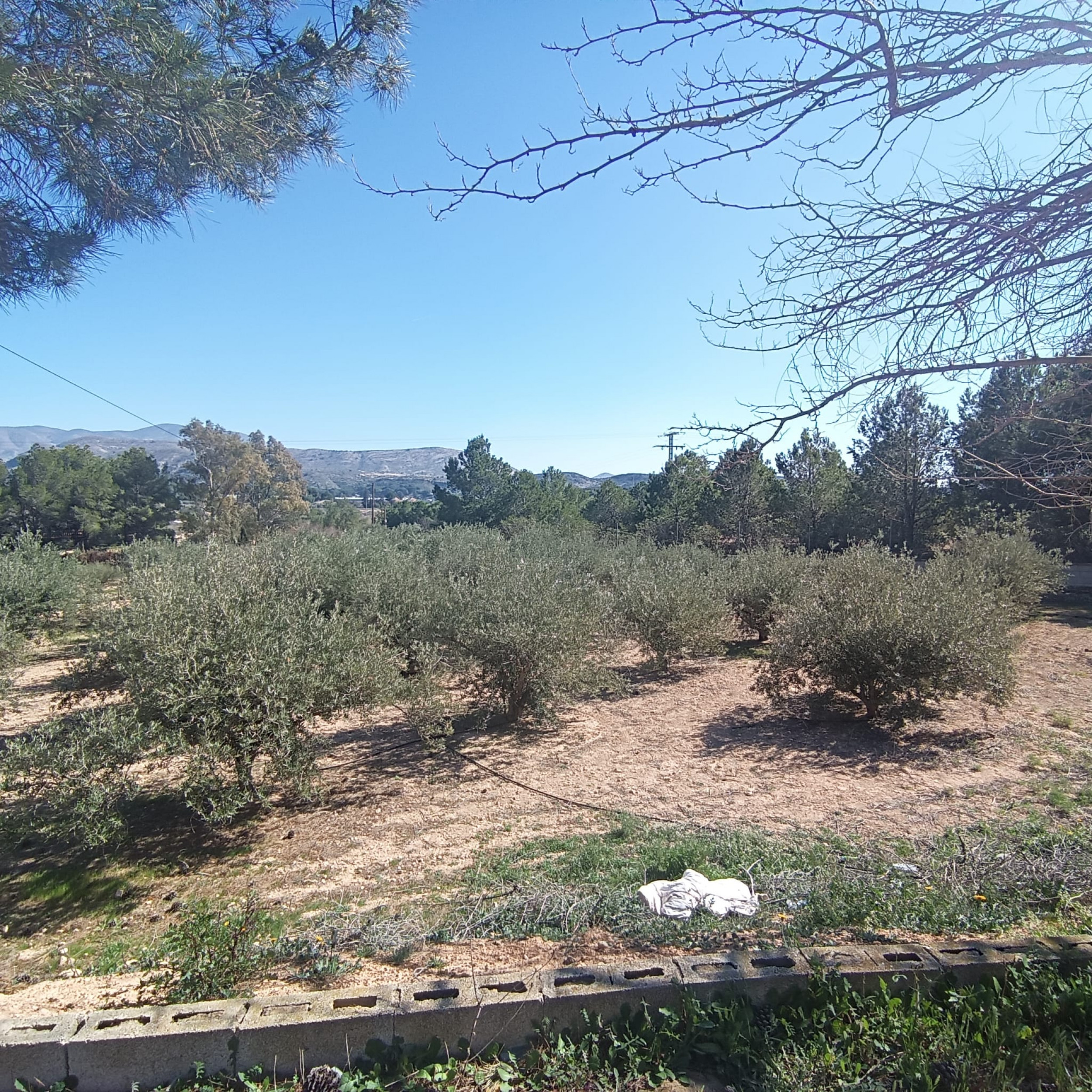 property_attachment_15bjhidqvq_20260228120207