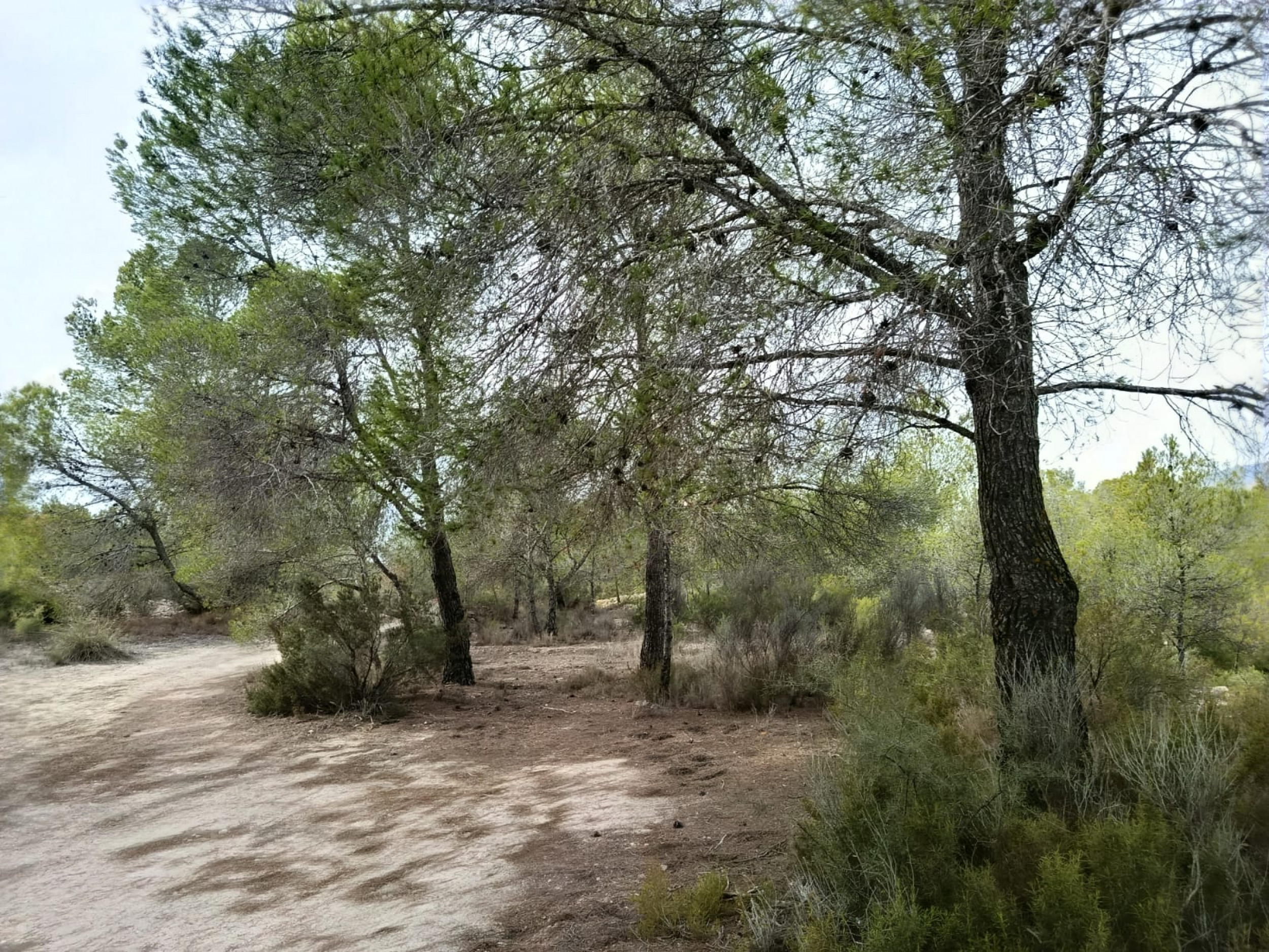 property_attachment_1d3iohdgb6_20251020033316