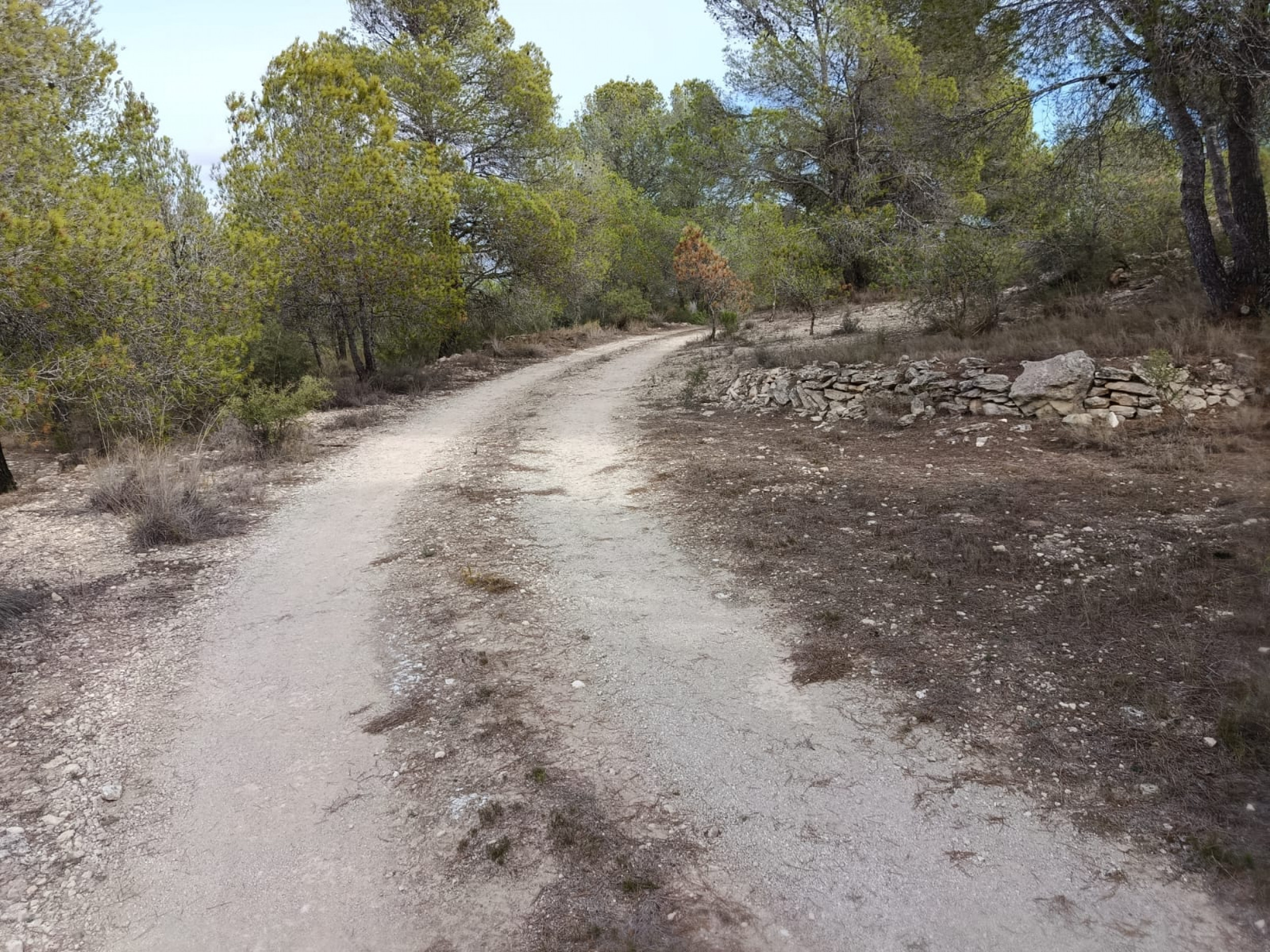 property_attachment_1hywkfoscj_20251020033314