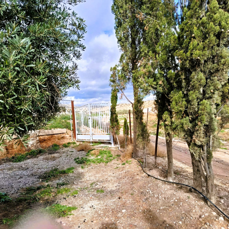 Landhaus in Novelda (Alicante)