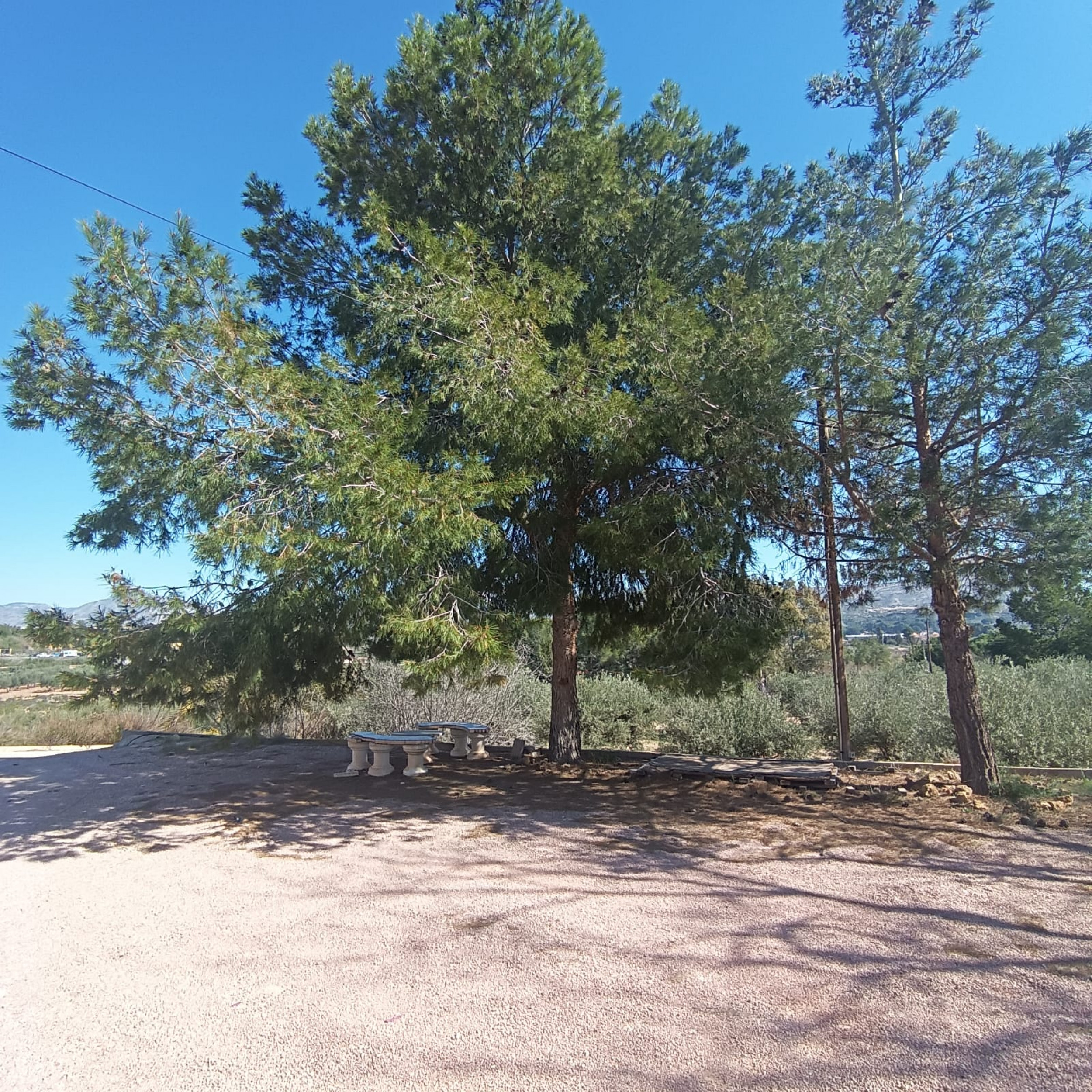 property_attachment_1lfn8vibqv_20260228120204