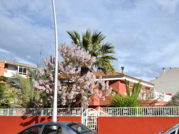 Villa in Sax (Alicante)