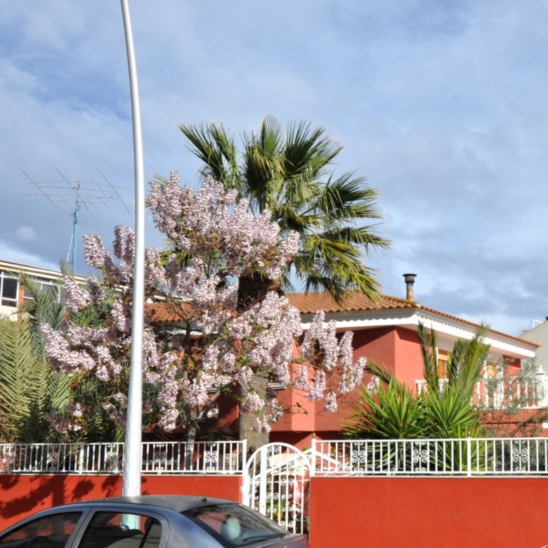 Villa in Sax (Alicante)