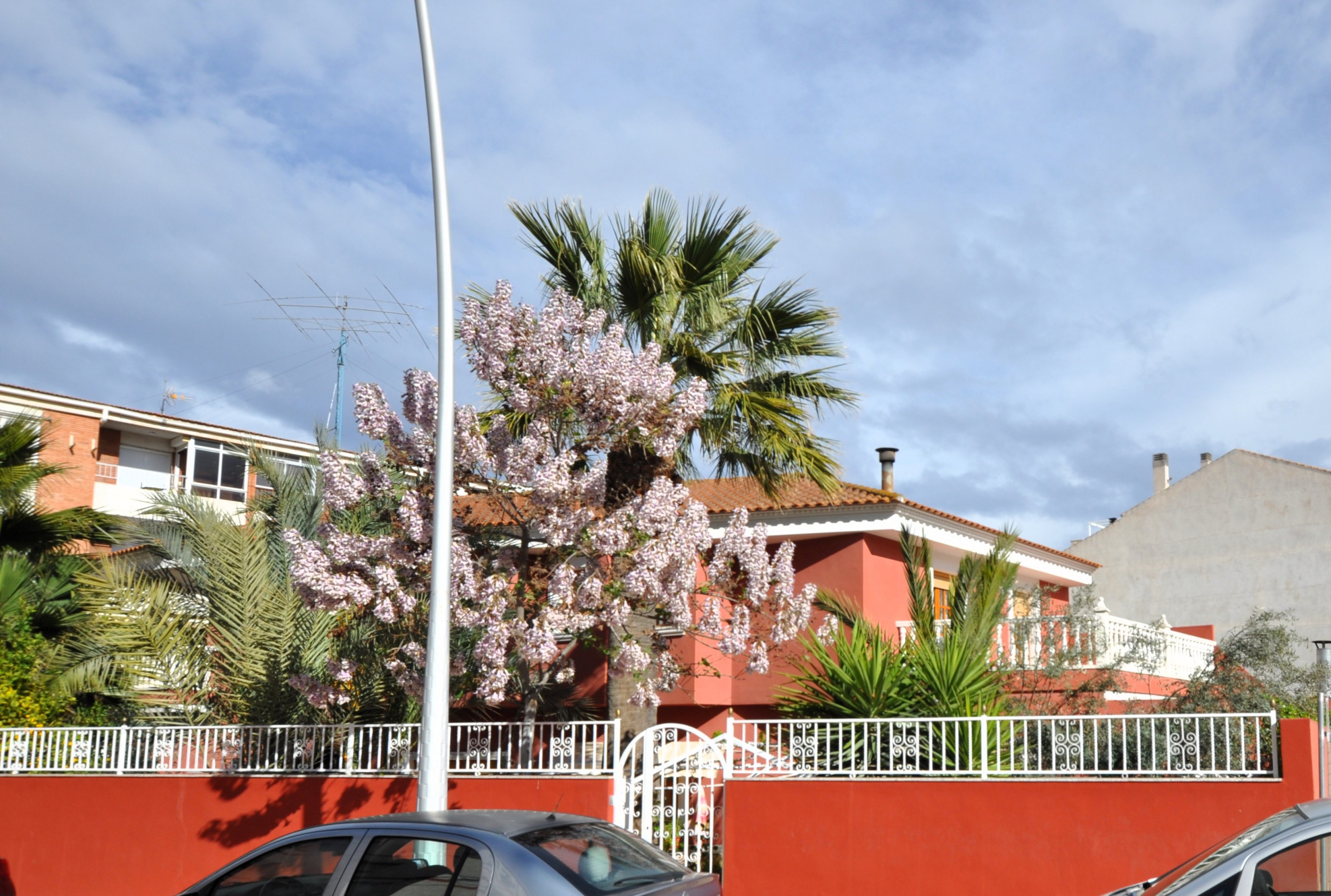 Villa in Sax (Alicante) Villa in Sax (Alicante)