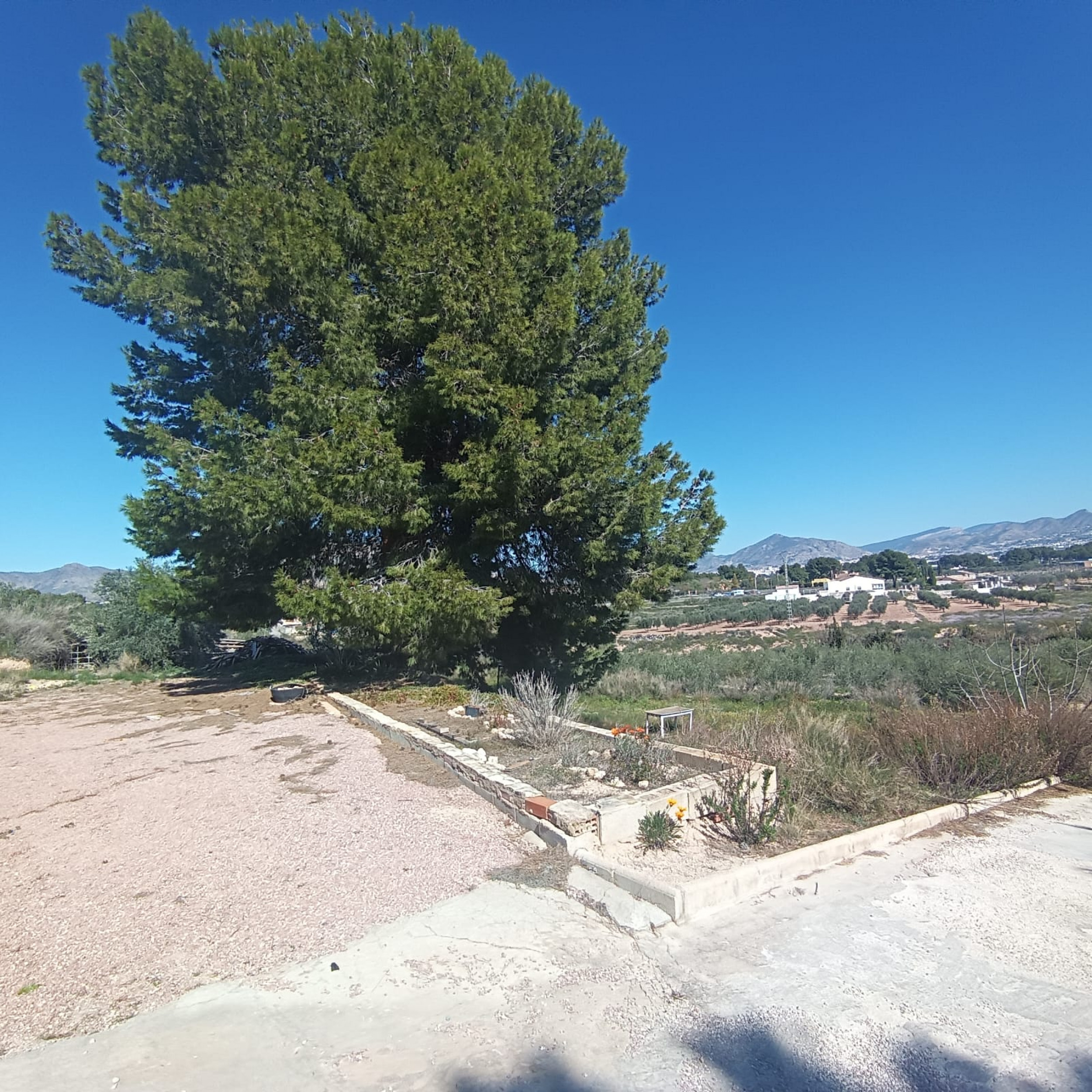 property_attachment_1rlhcbbbjq_20260228120202