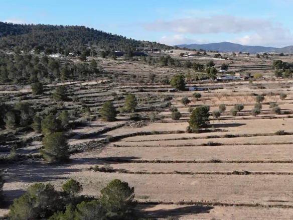 Building Plot in Monovar (Alicante)