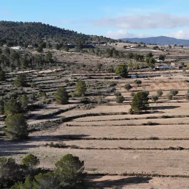 Building Plot in Monovar (Alicante)