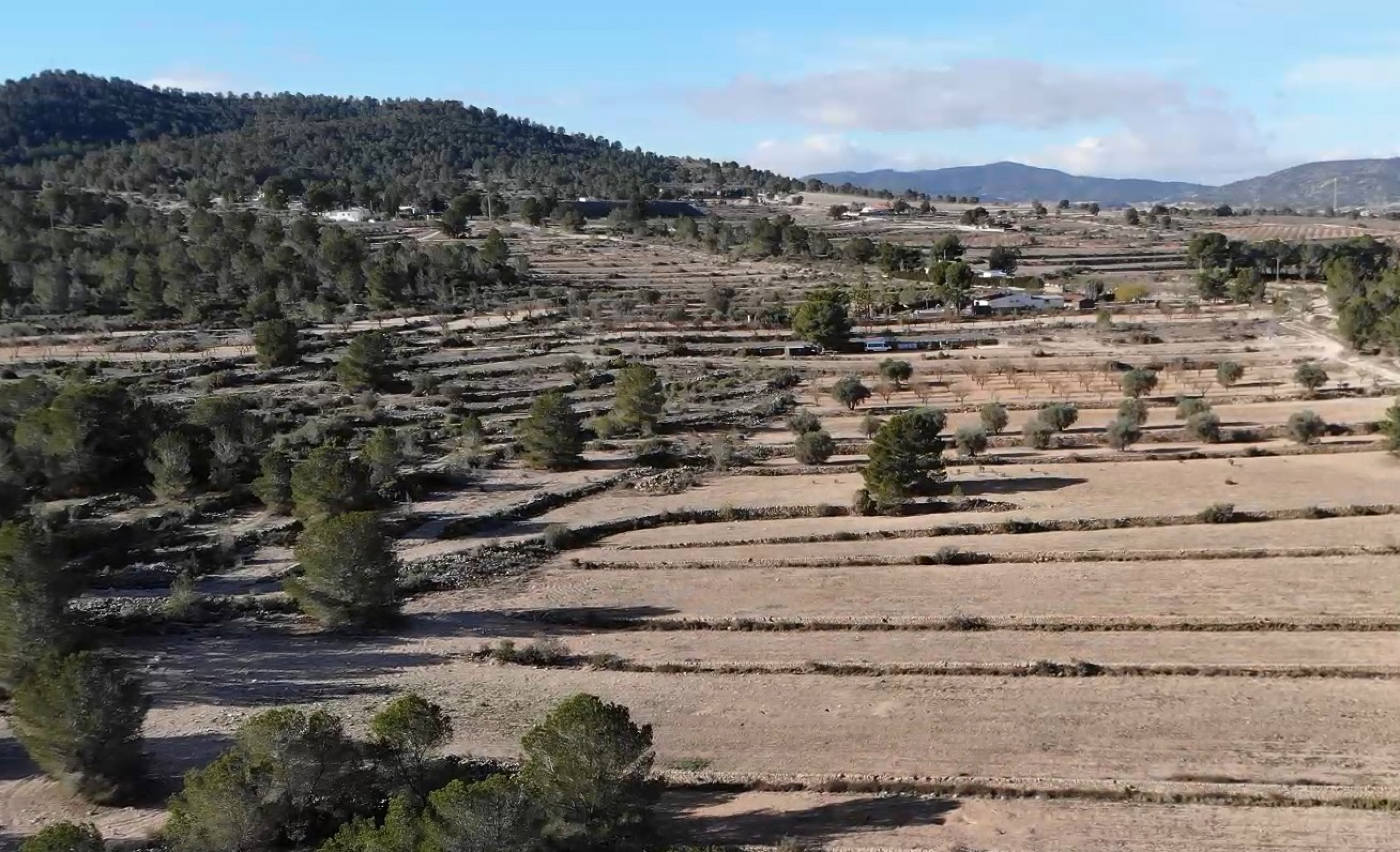 Building Plot in Monovar (Alicante) Building Plot in Monovar (Alicante)