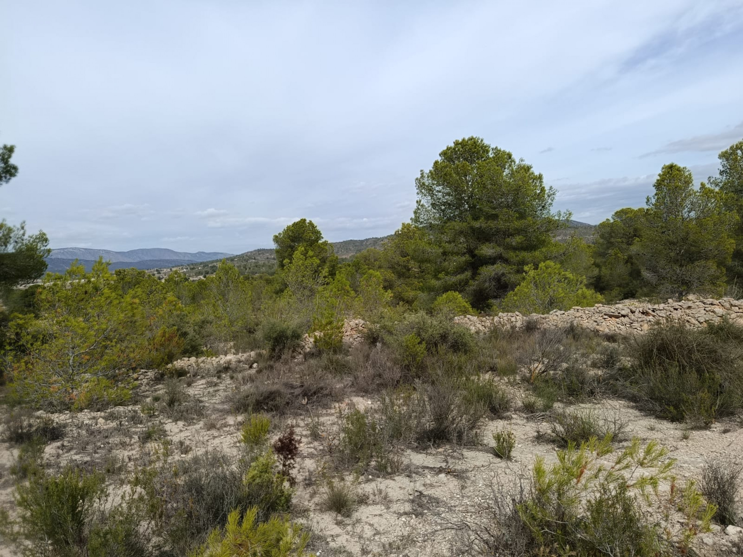 property_attachment_1rzc68unes_20251020033312