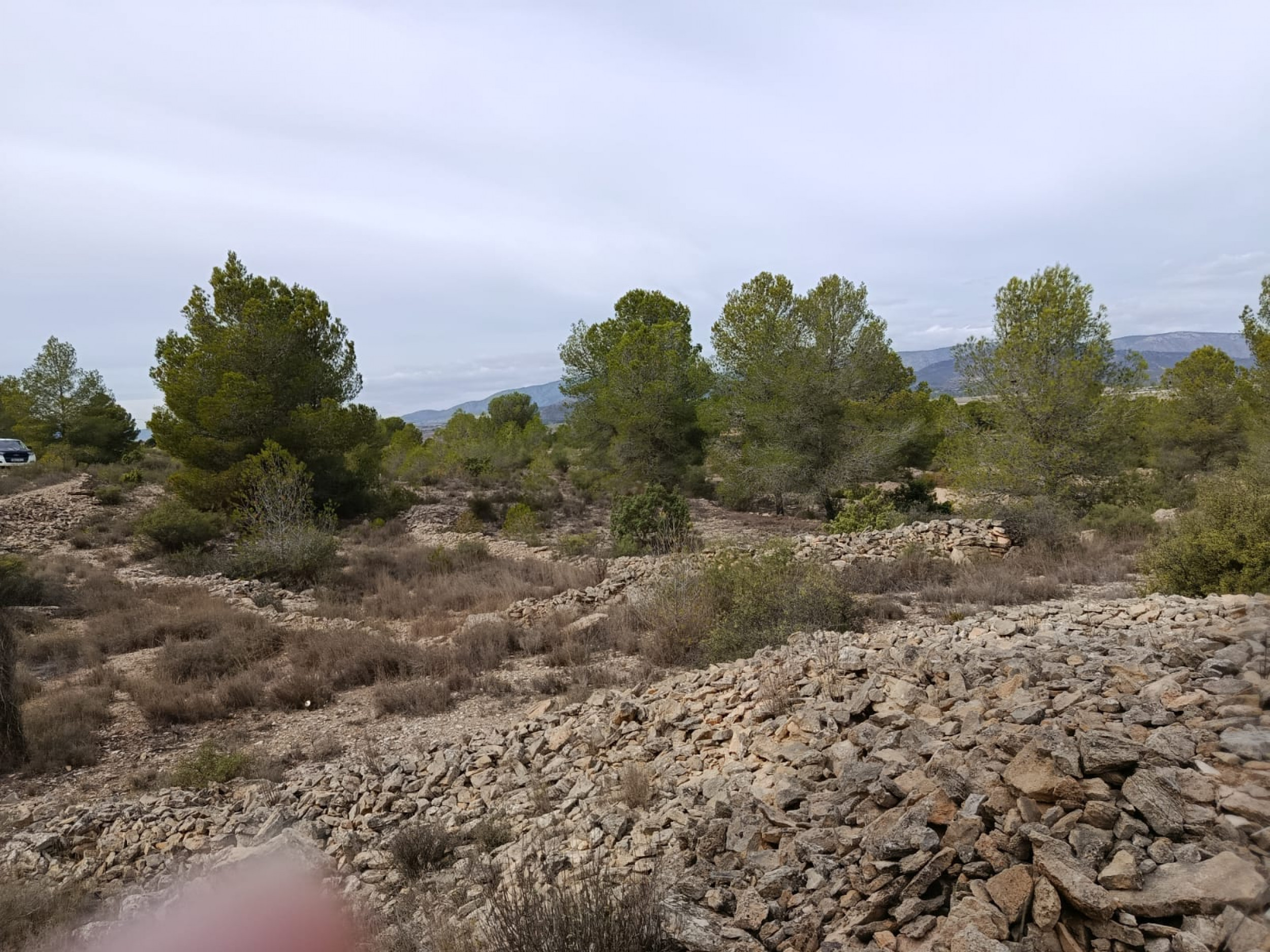 property_attachment_1vznfdss4c_20251020033313