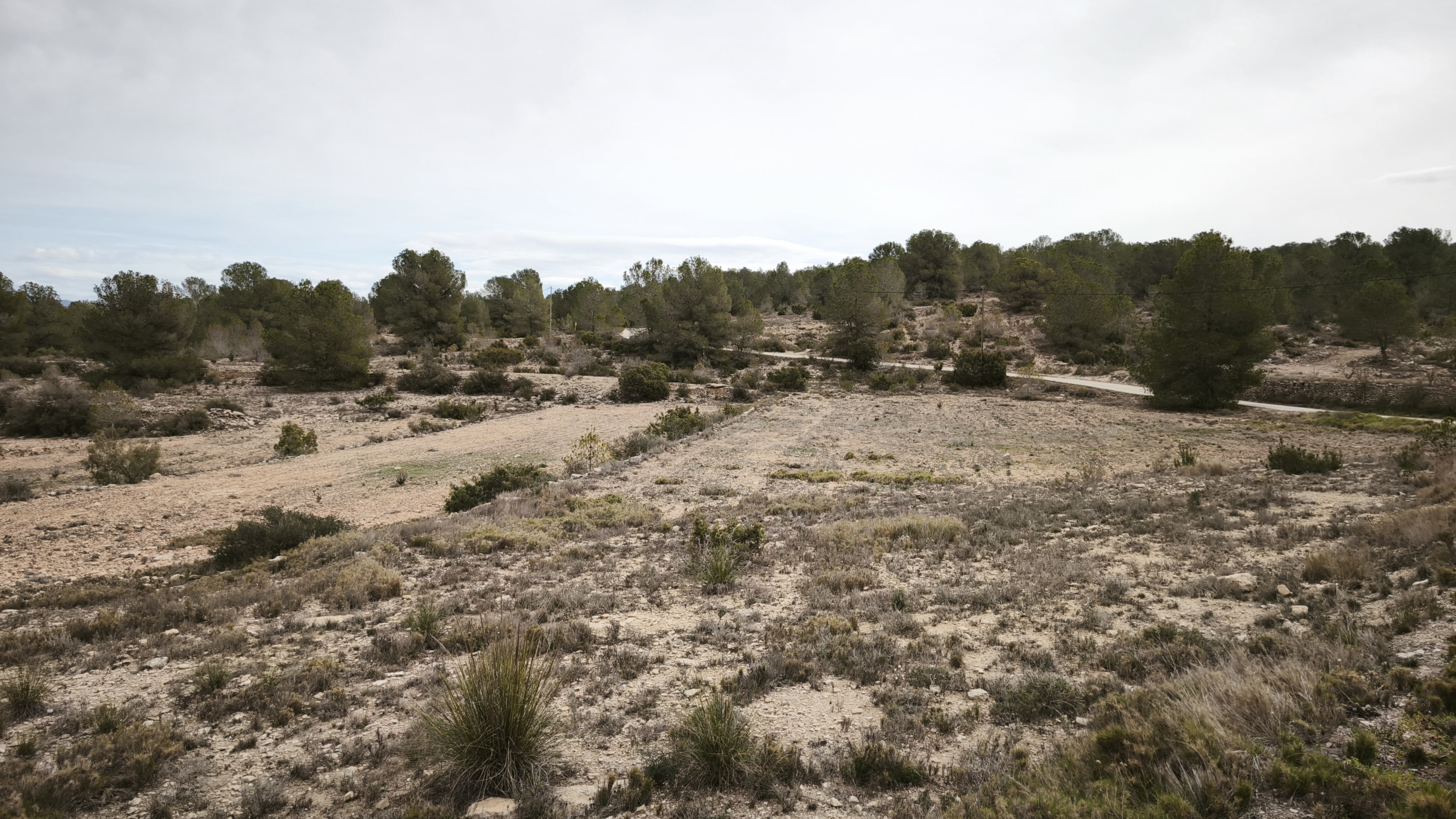 property_attachment_1yeyoxv8zz_20251105023338