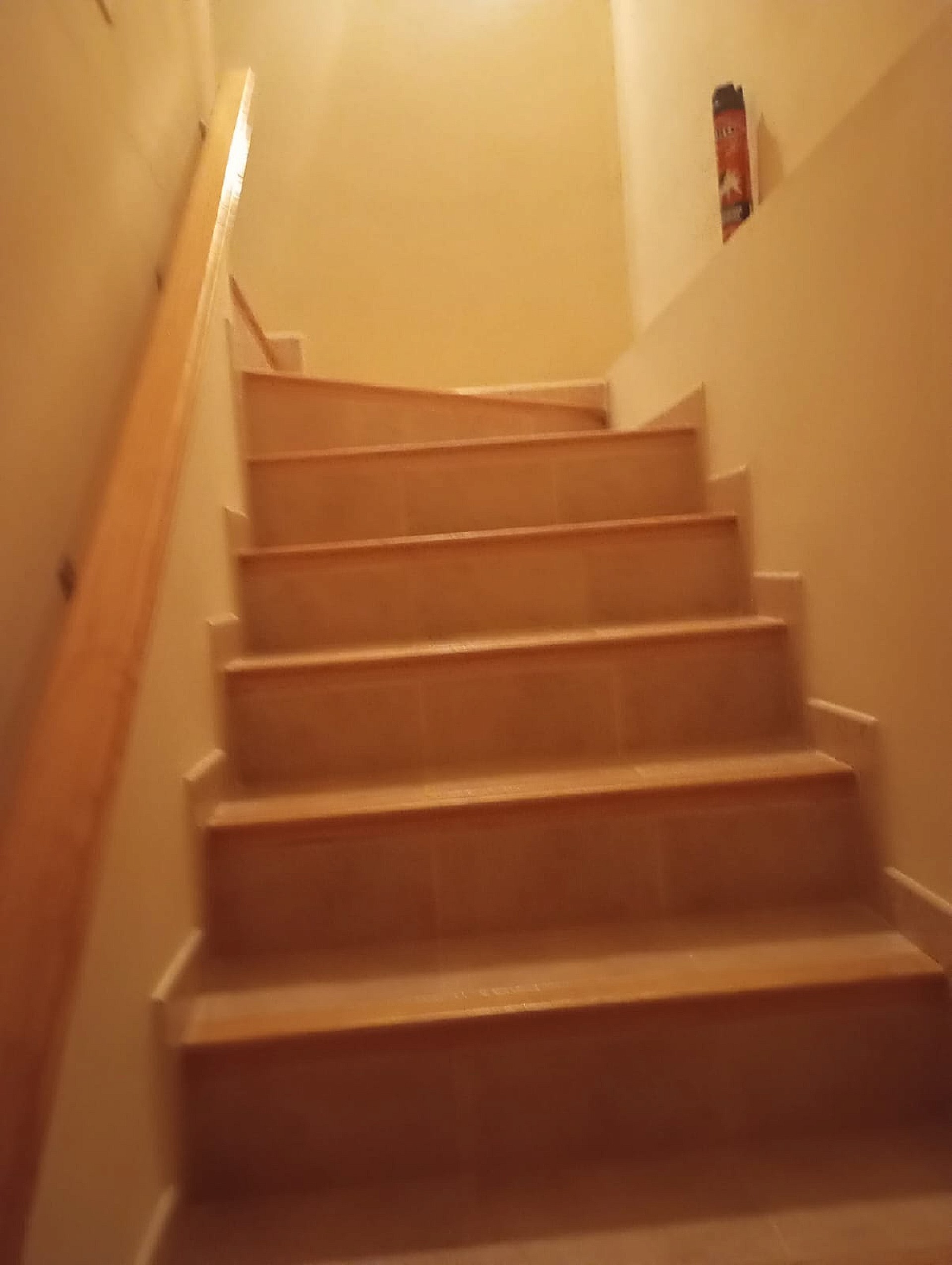 w_065jgtyt7minrghxkxjs