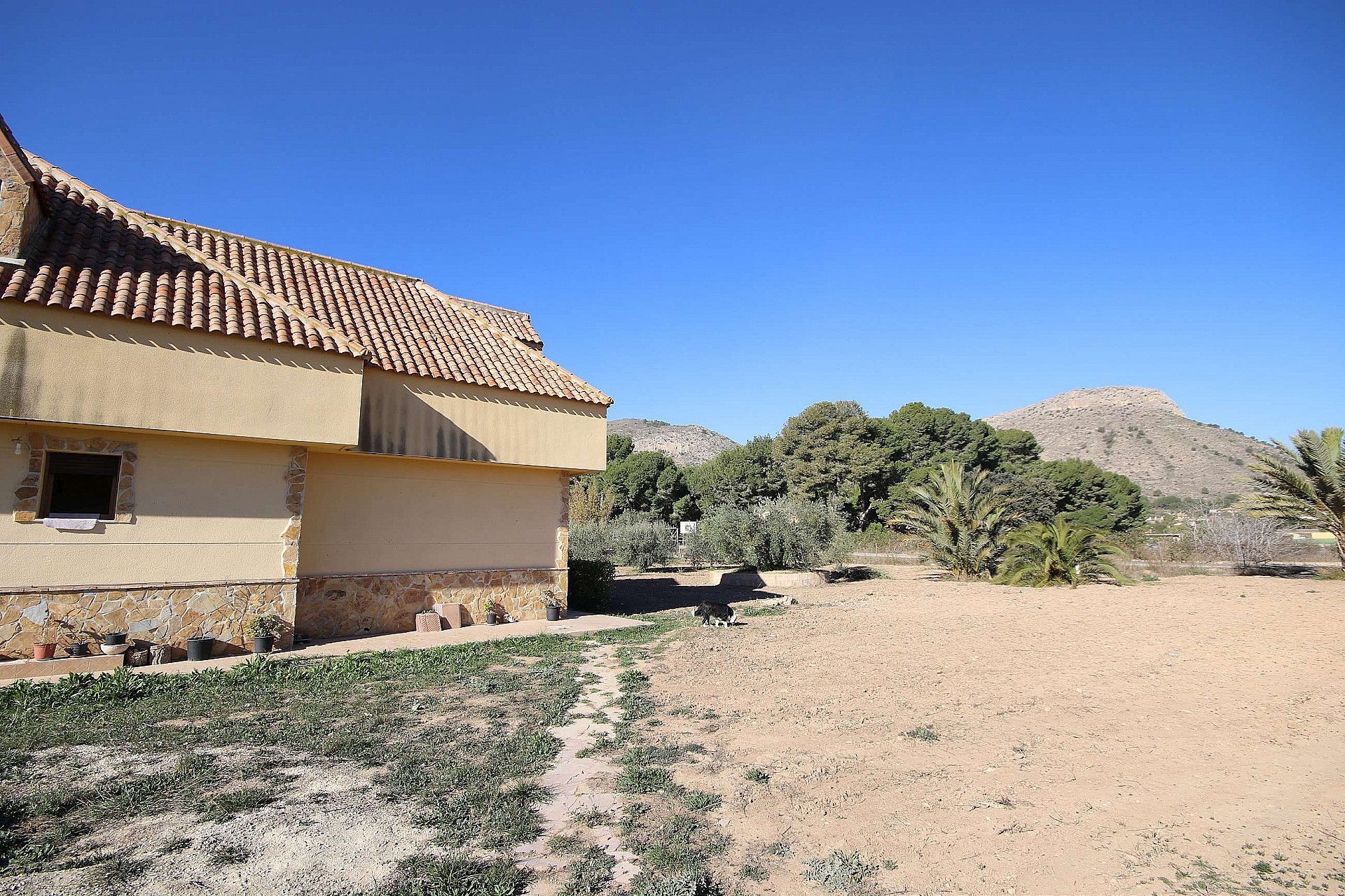 w_077edii0iskgarqzq0gn