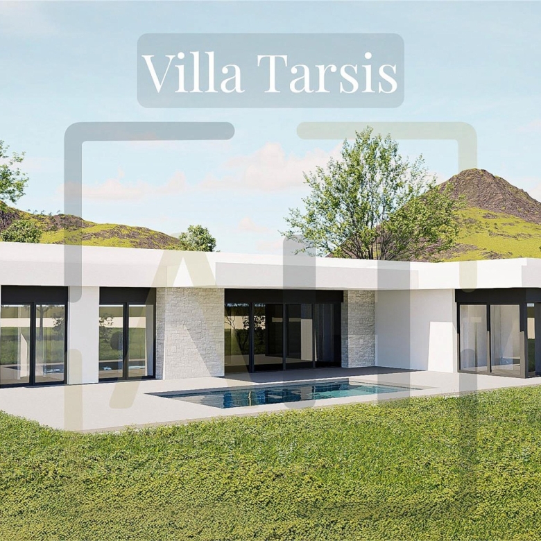 Villa in Pinoso (Alicante)