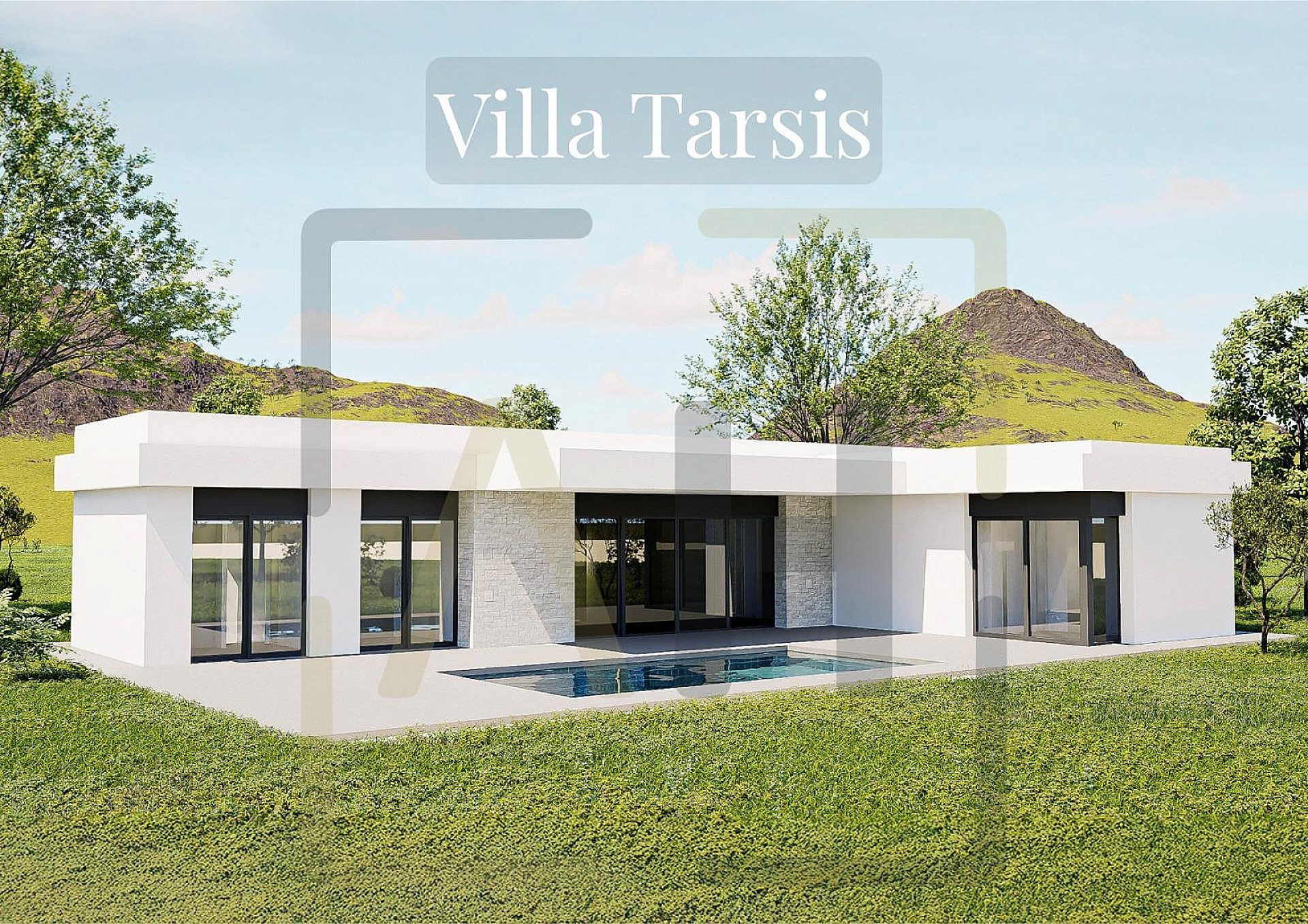 Villa in Pinoso (Alicante) Villa in Pinoso (Alicante)