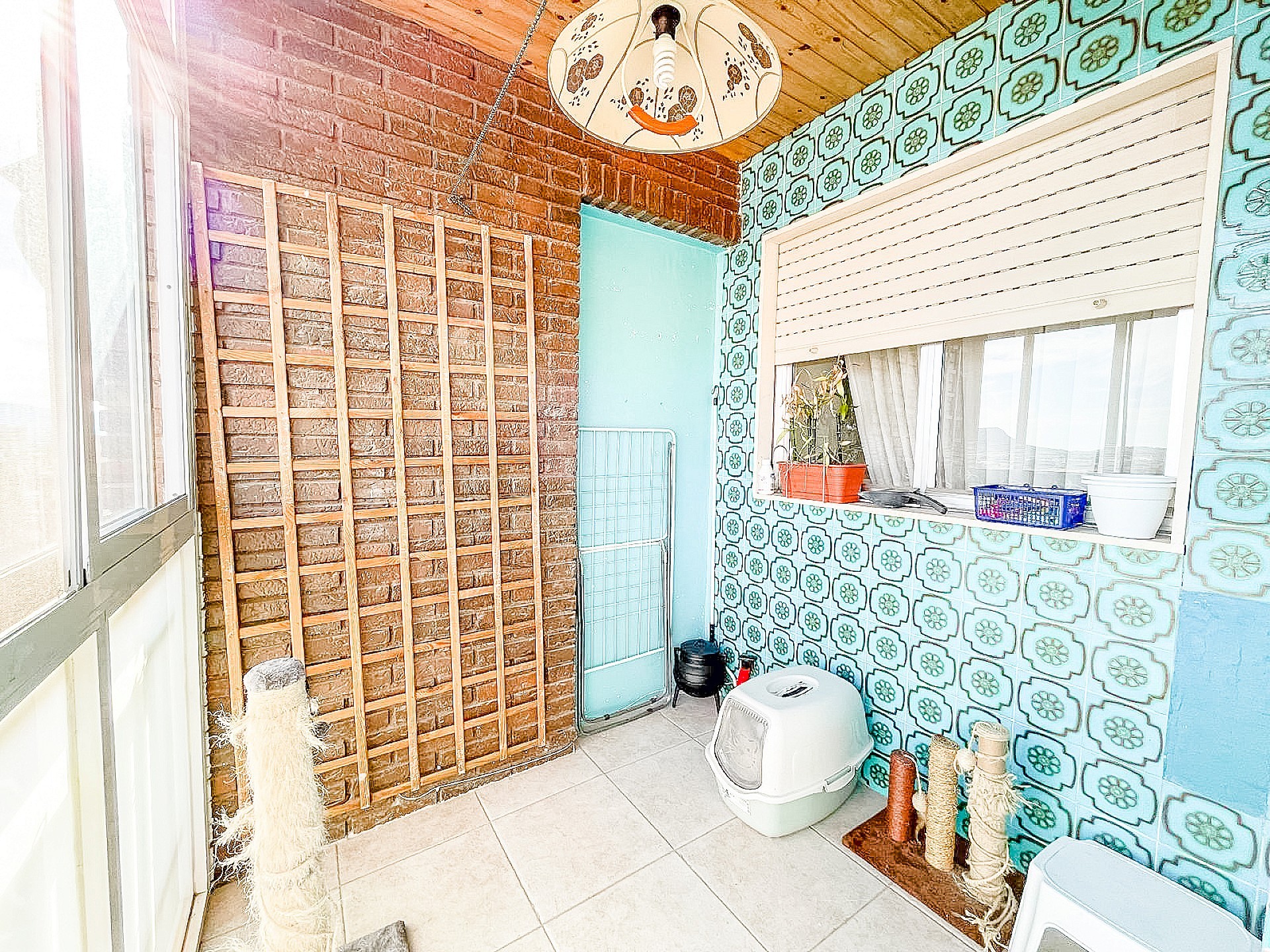 w_0n0k04fdx6oczgzjd0h4