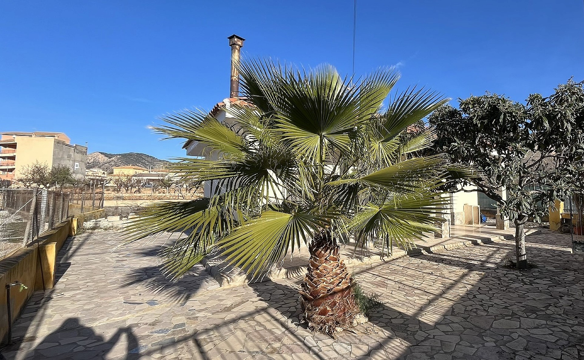 w_23gxsa8w7b5prhxuey5p