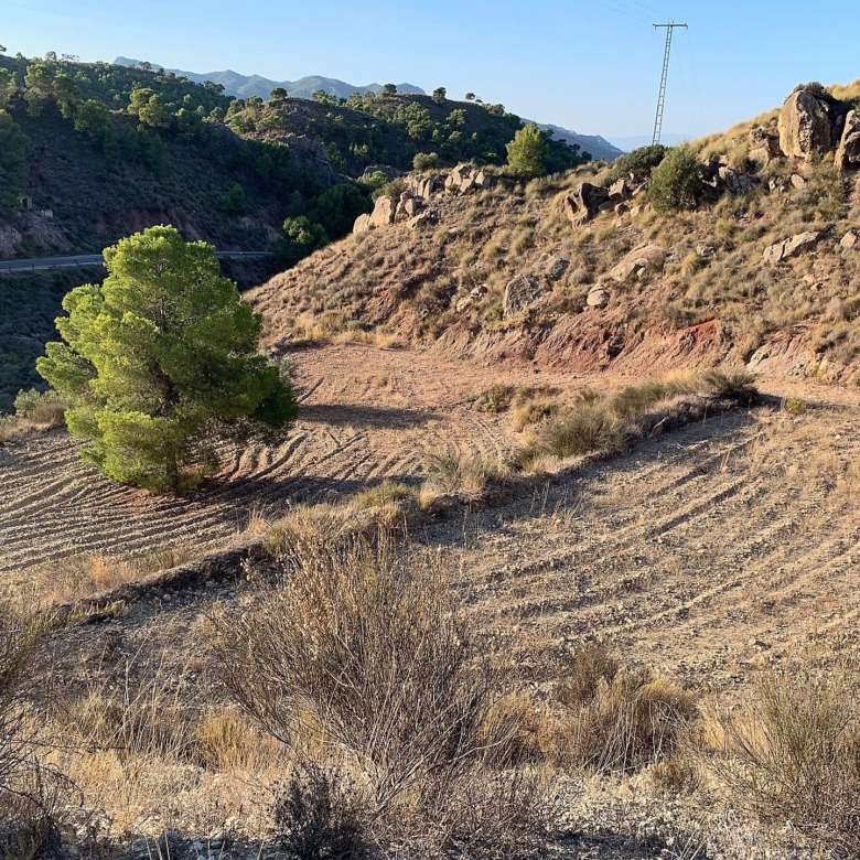 Grundstück in Macisvenda (Murcia)