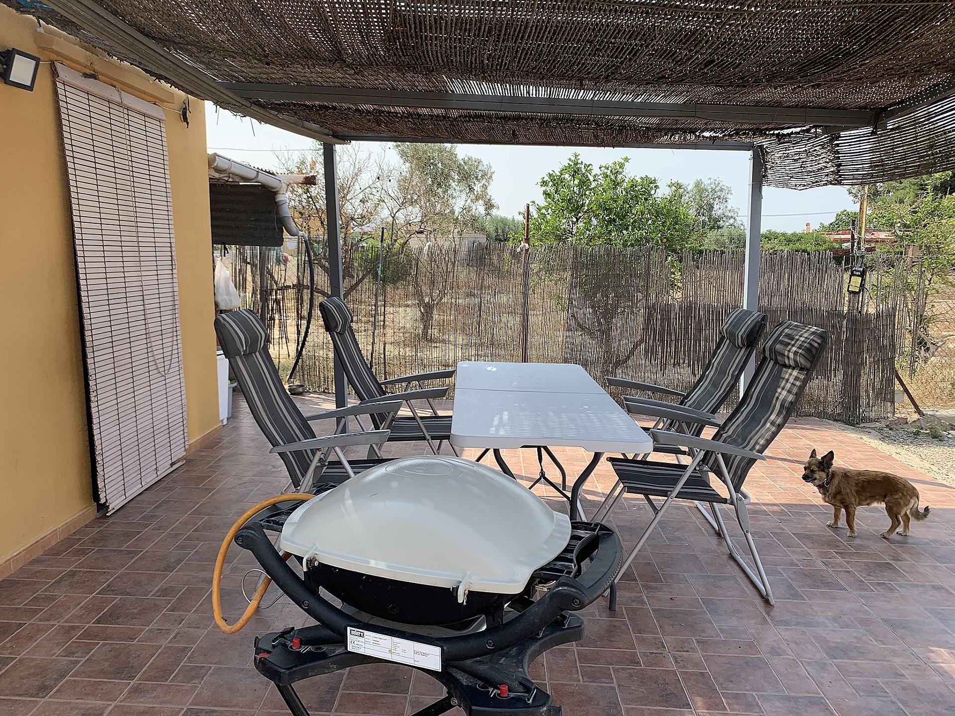 w_2w72oqxvc2t6w8gf33uf