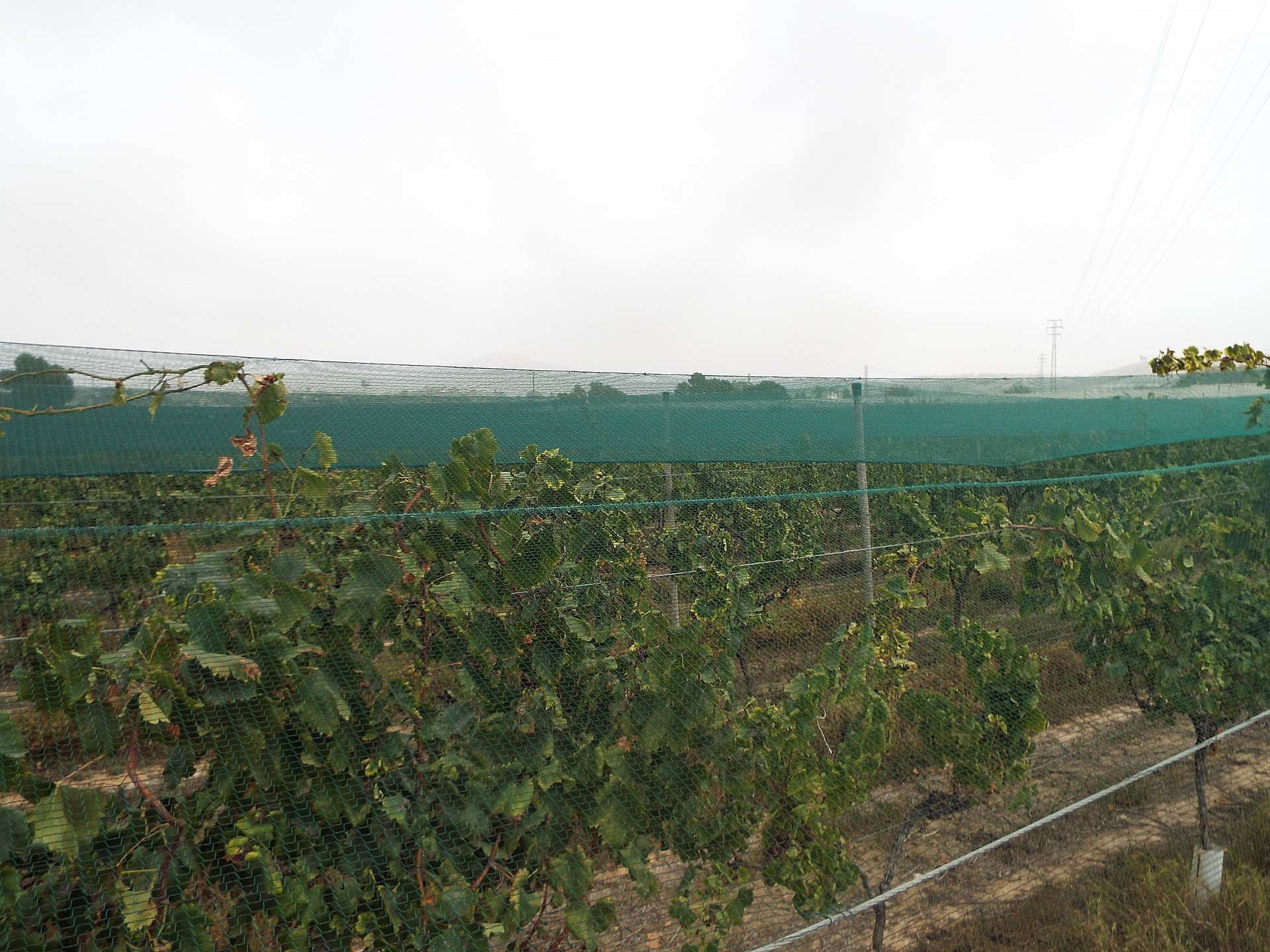 w_34axj8s5qwjeqgqikpiu