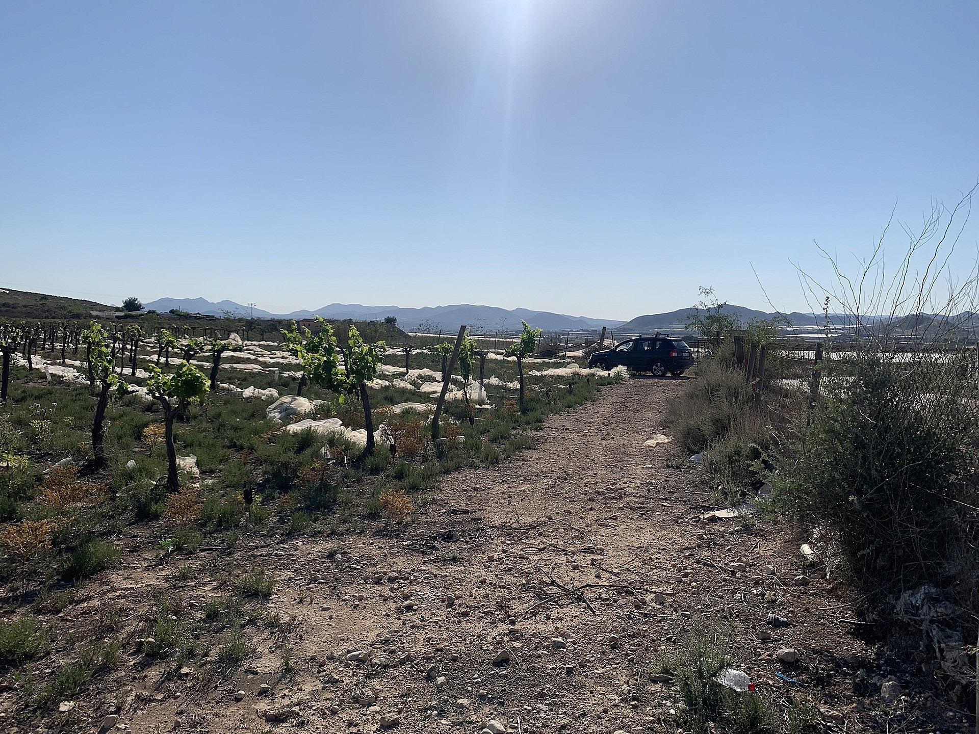 w_35ys8be8sozbutqg62hp