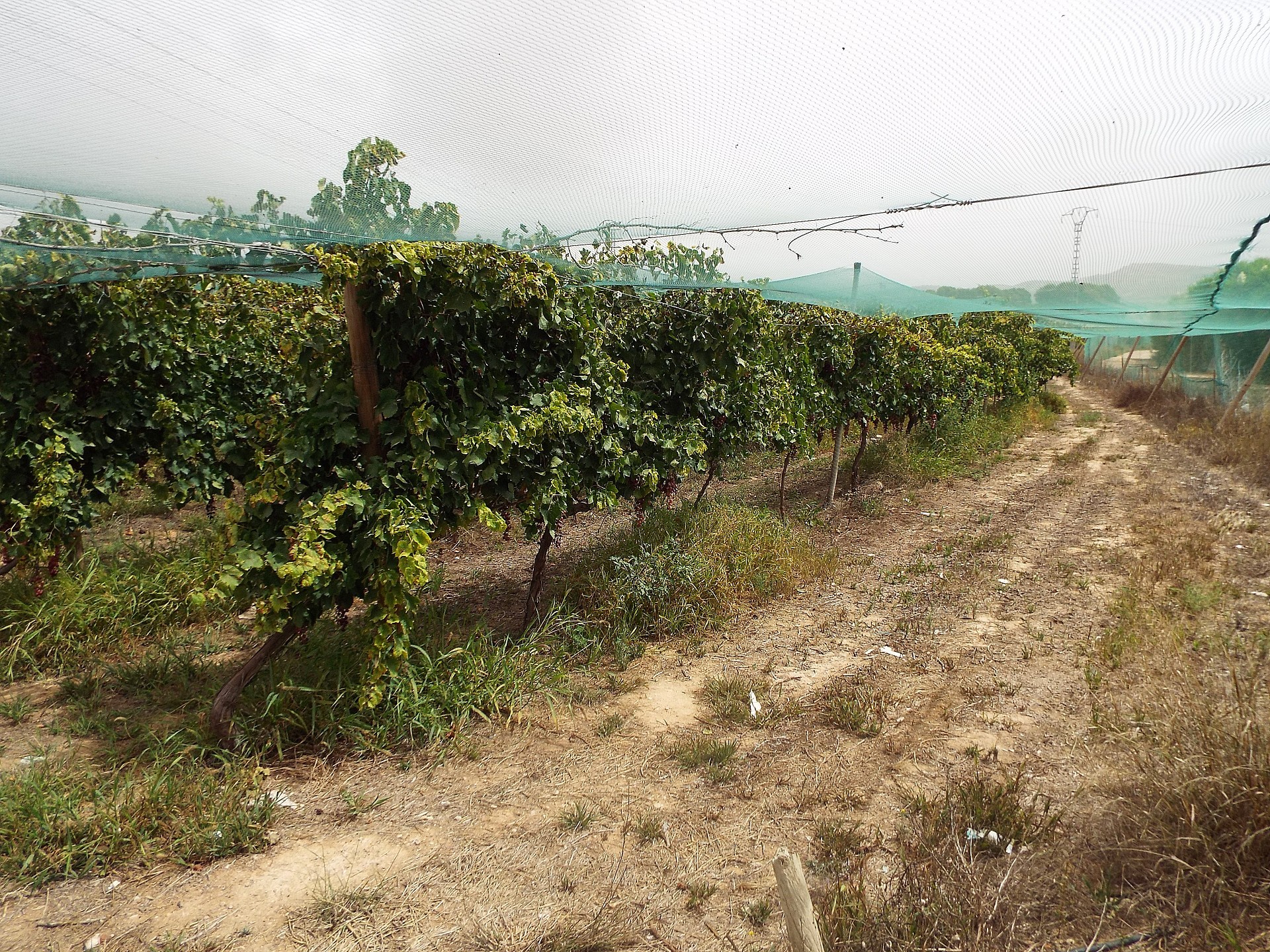 w_3eukc2bp7z4uw0xr5x2o