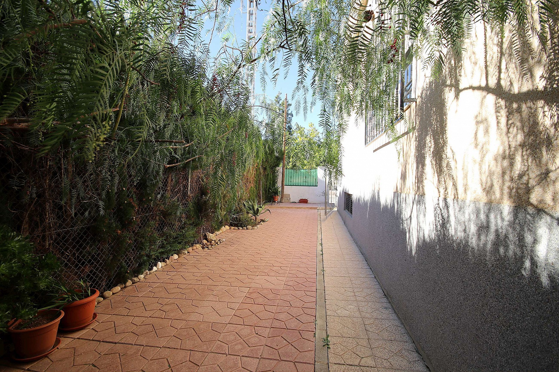 w_3m8n00dnji0skahhc5n8