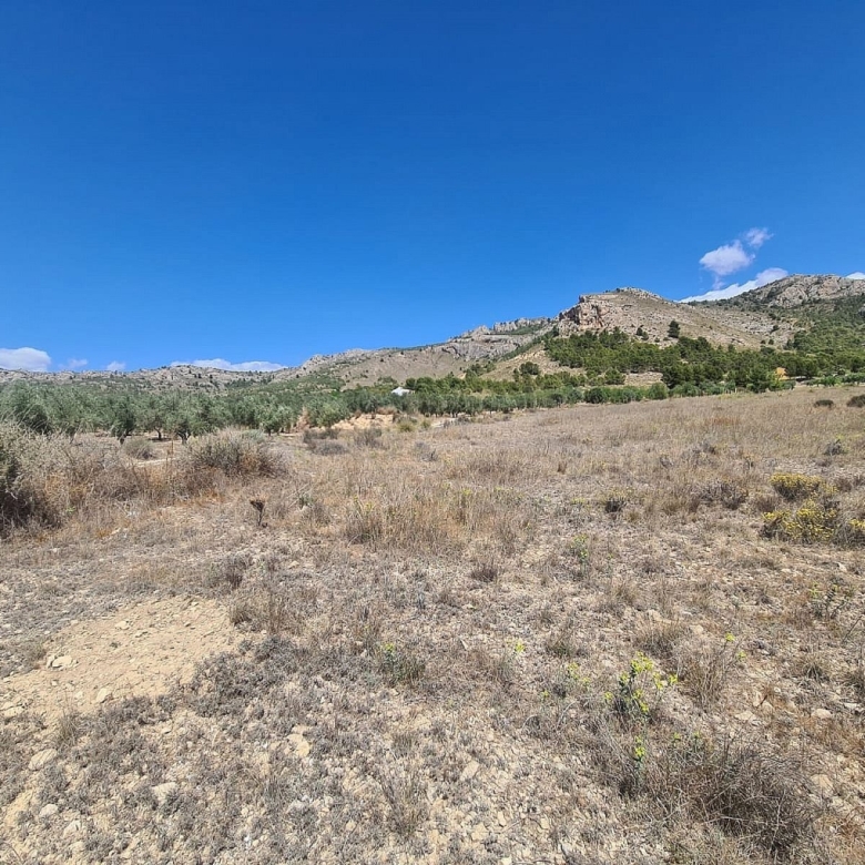 Grundstück in Sax (Alicante)