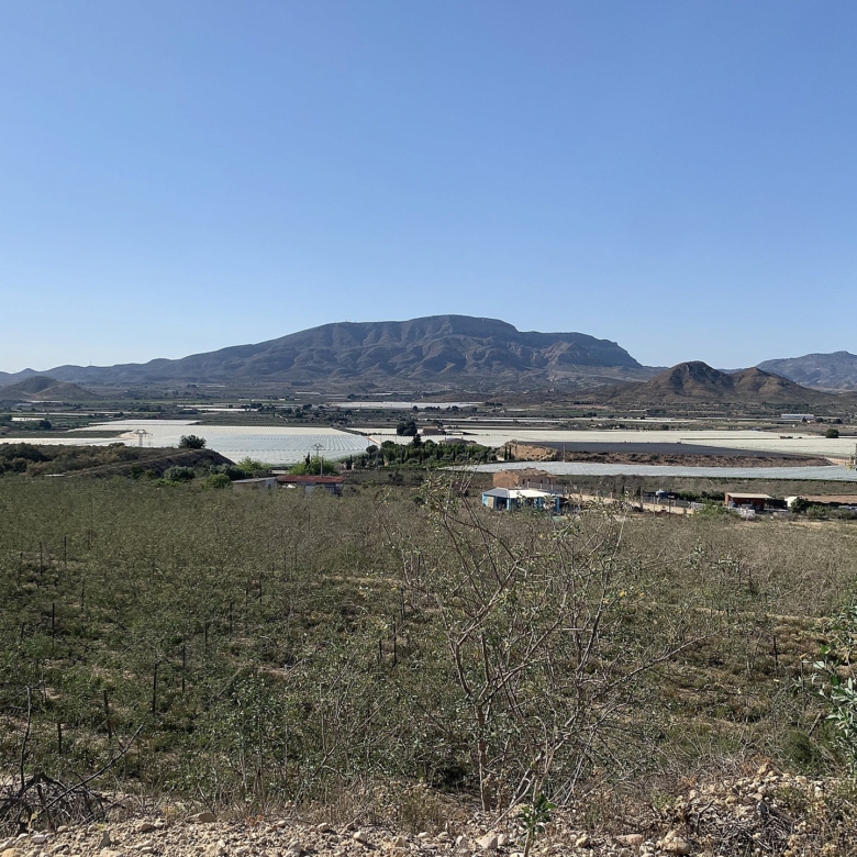 Grundstück in Monforte Del Cid (Alicante)