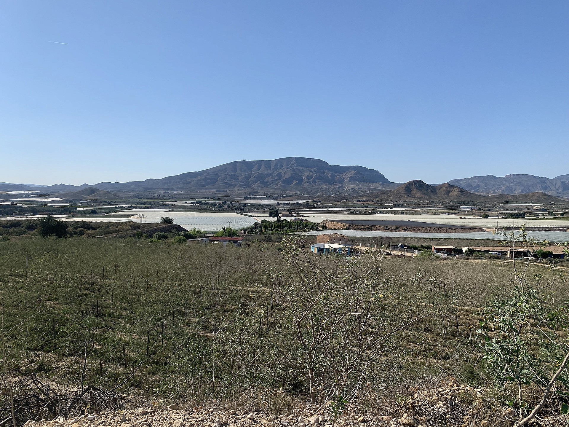 Grundstück in Monforte Del Cid (Alicante) Grundstück in Monforte Del Cid (Alicante)