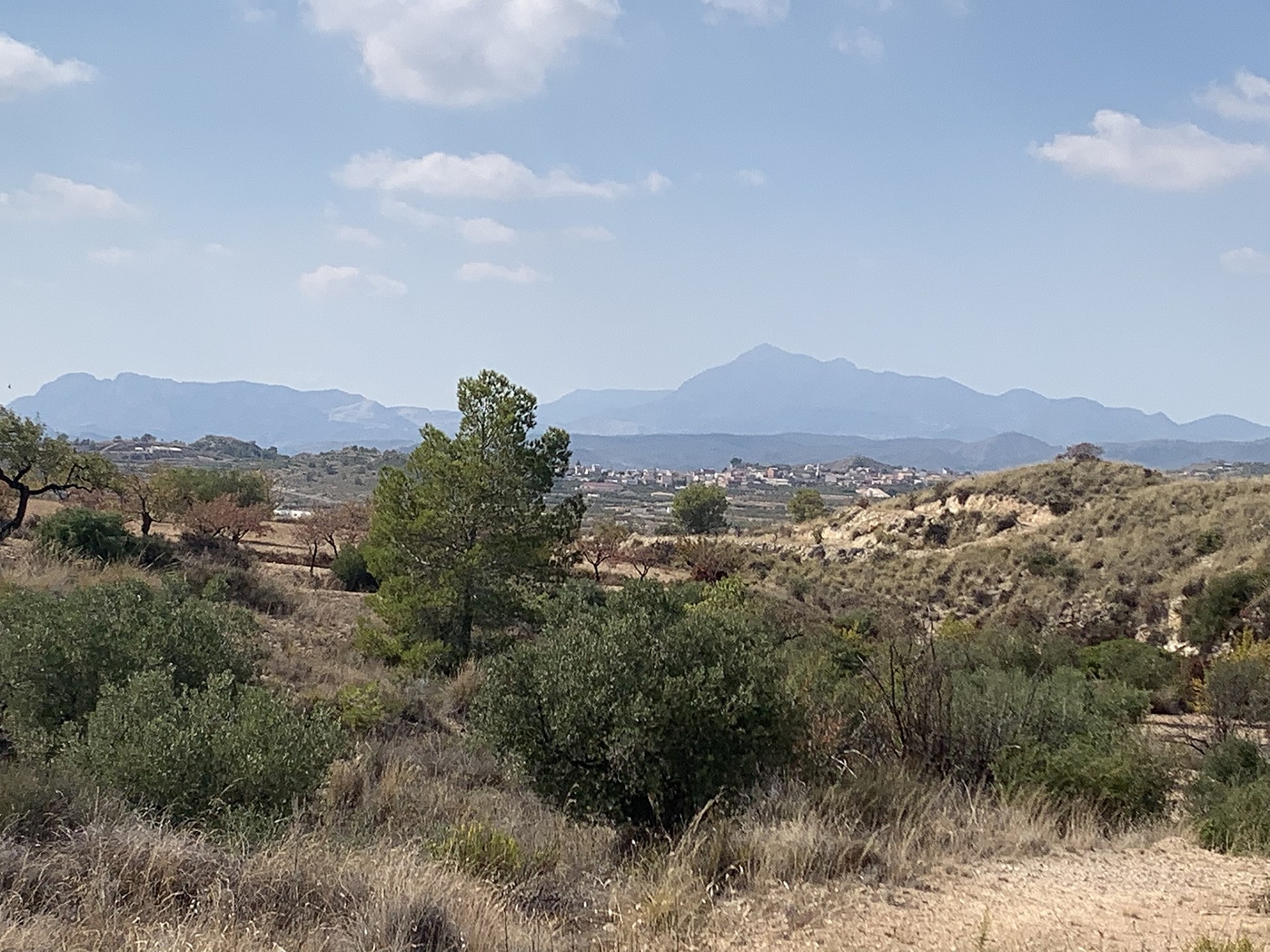 w_424xuckq3viiuc0epmyd