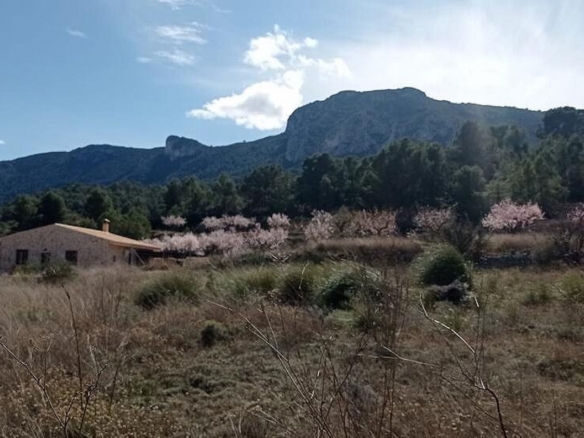 Grundstück in La Romana (Alicante)