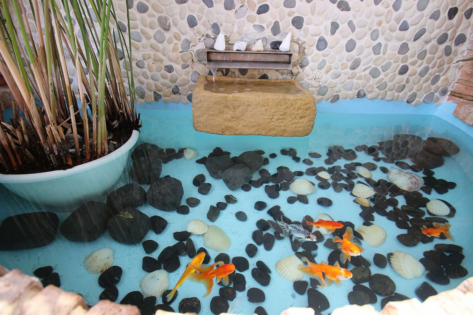 w_4zhqebomkk4xjny8h8sm