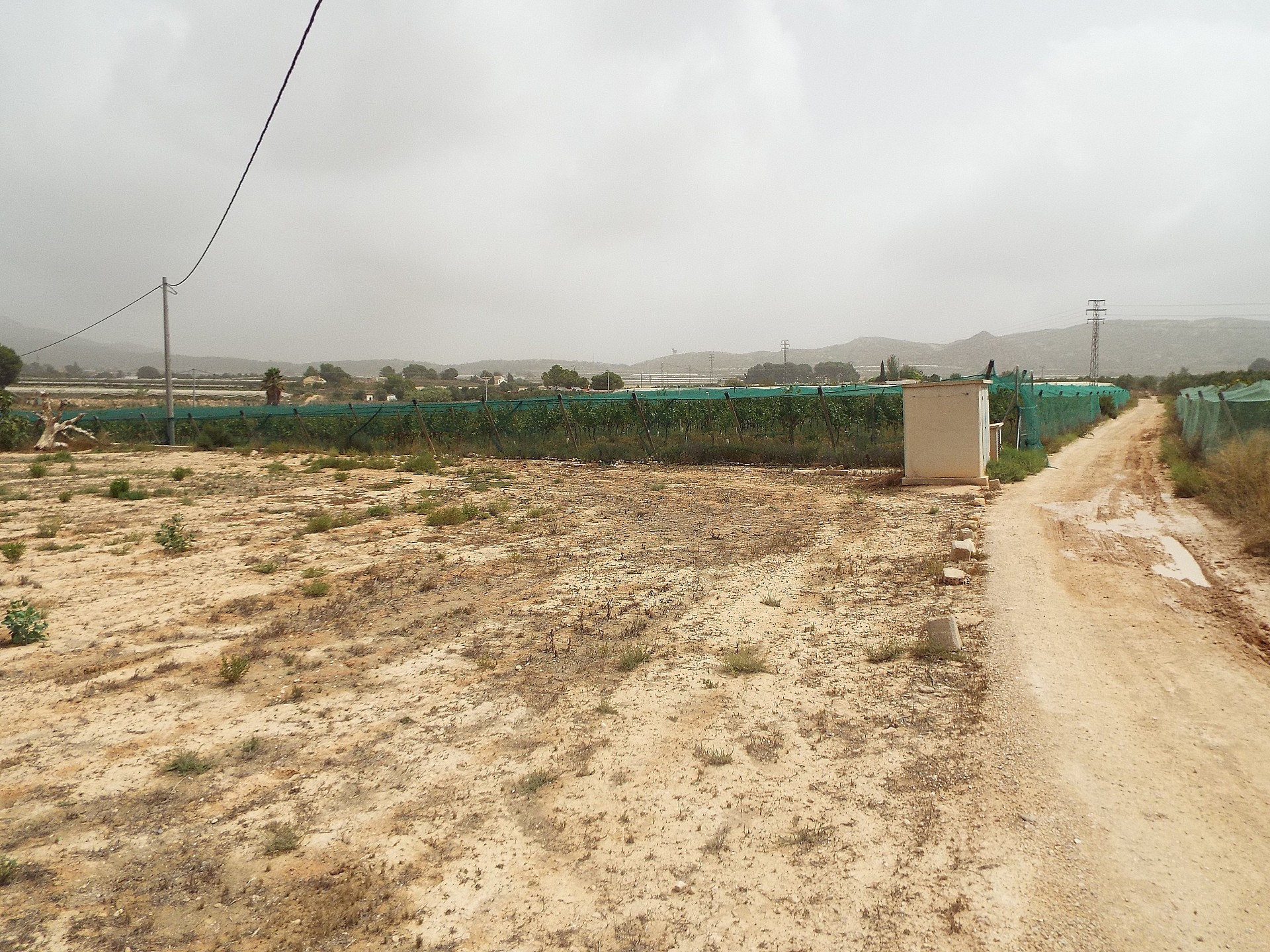 w_550t8uvkf76ez4xk8k67