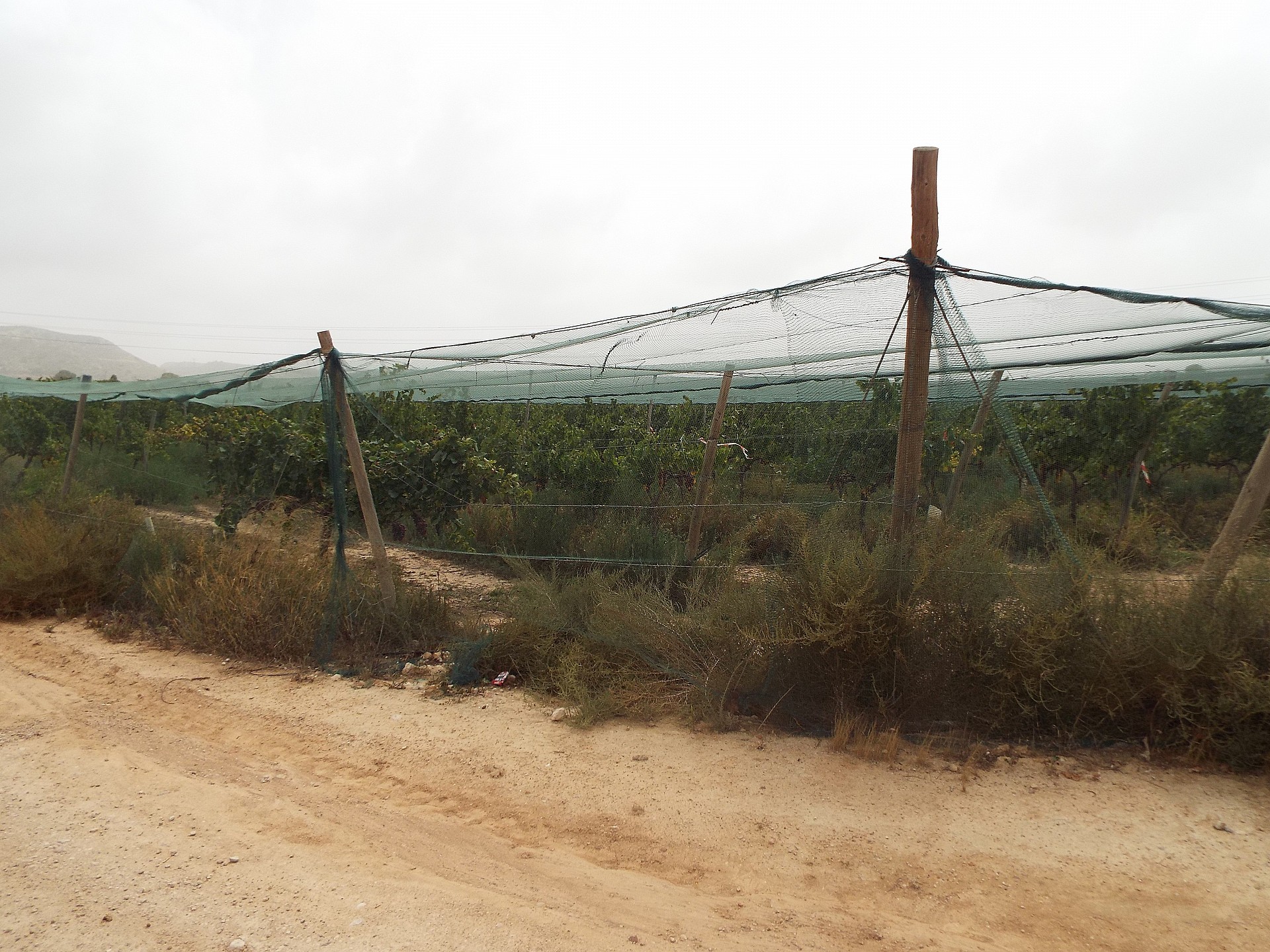 w_56e0wvtaavok5nxppzut