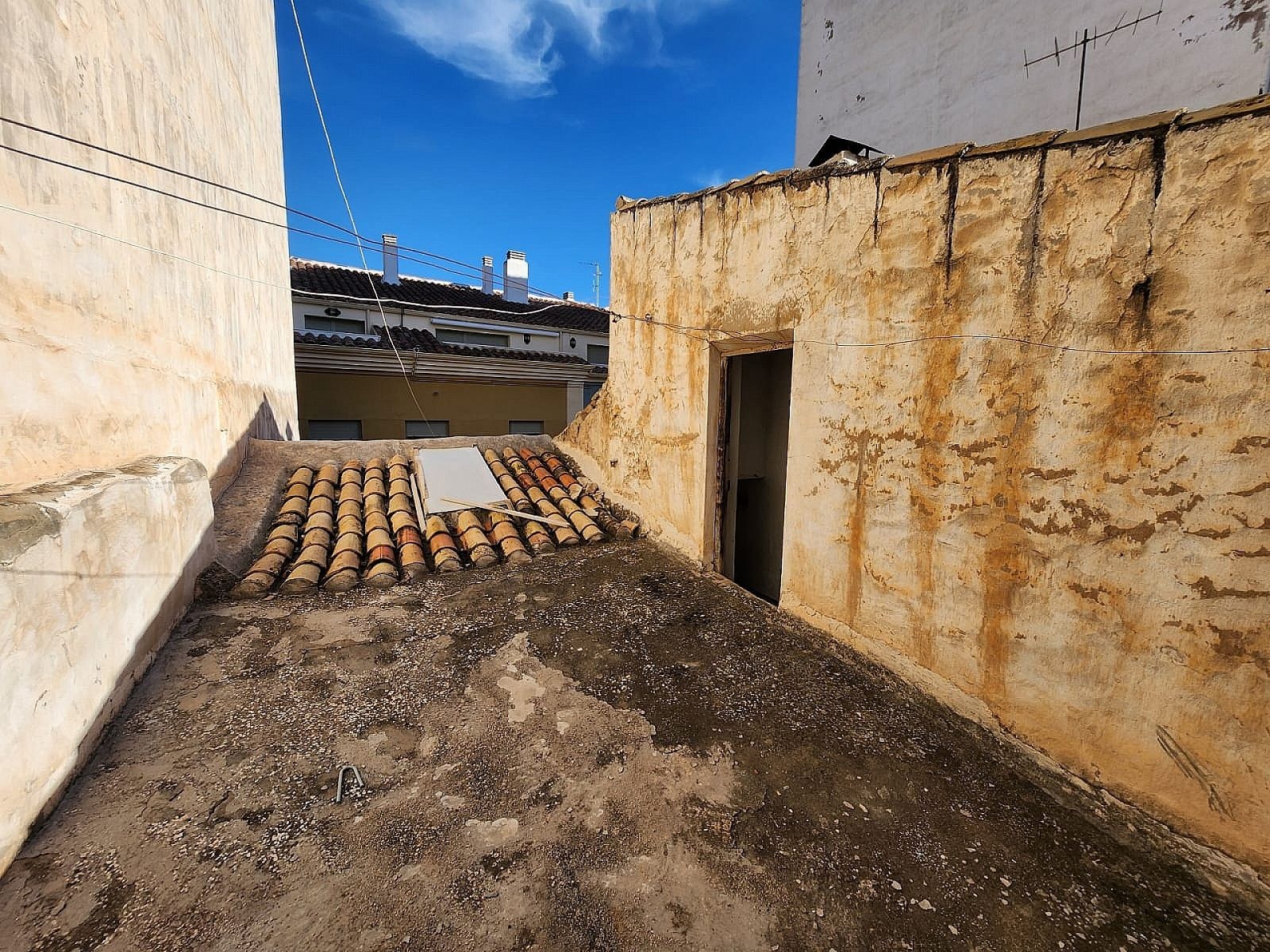 w_5g3qexuf4kaoebfiptfr