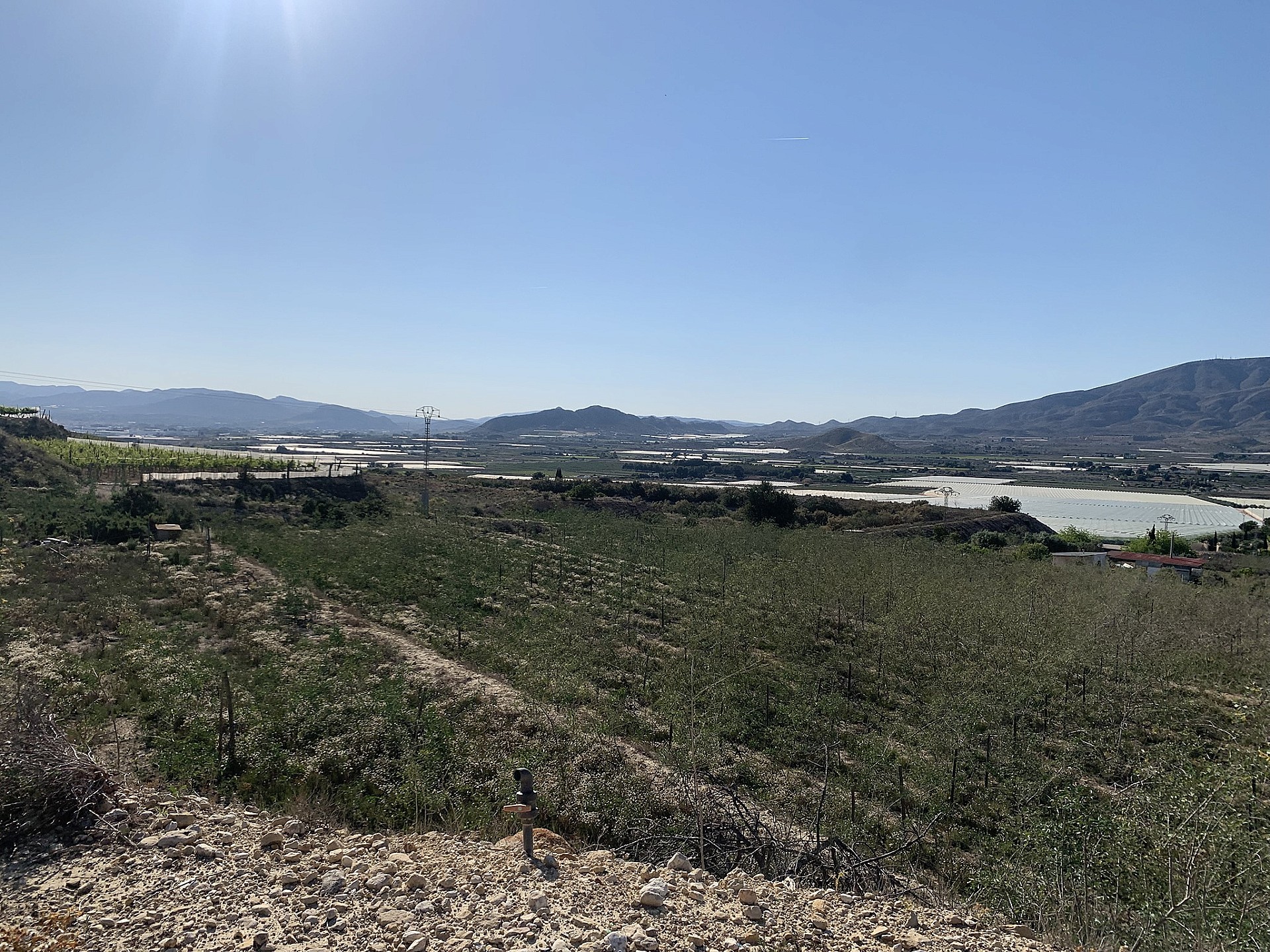 w_5ggmzk2hdp7tbep85jp4