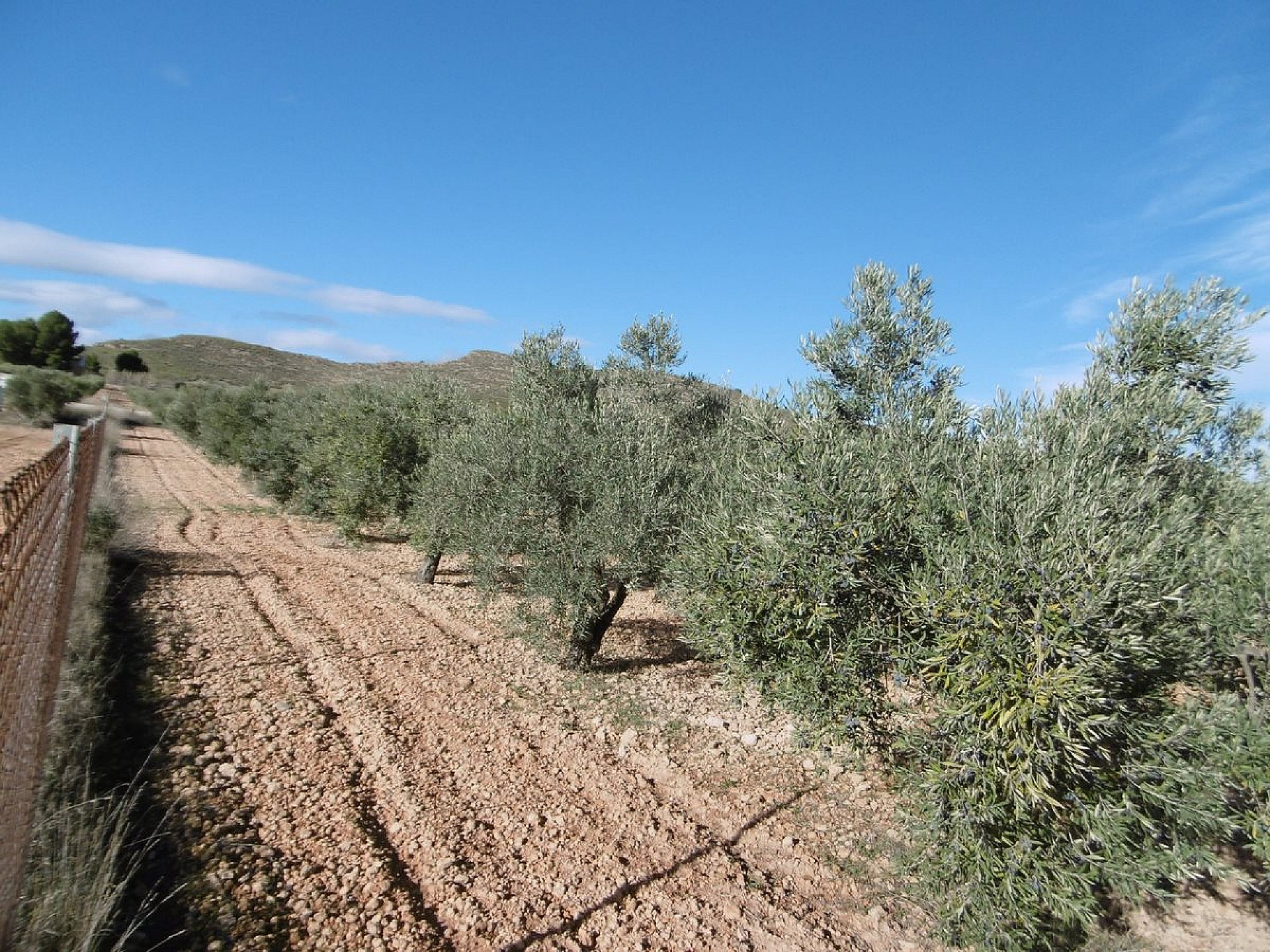 w_5no3ewgqary0og2xxz5z