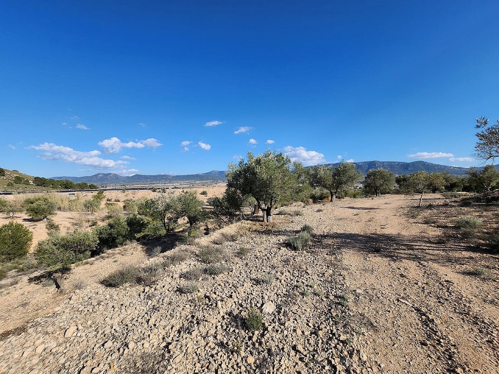 w_66rstfidgwtfgp724g3w